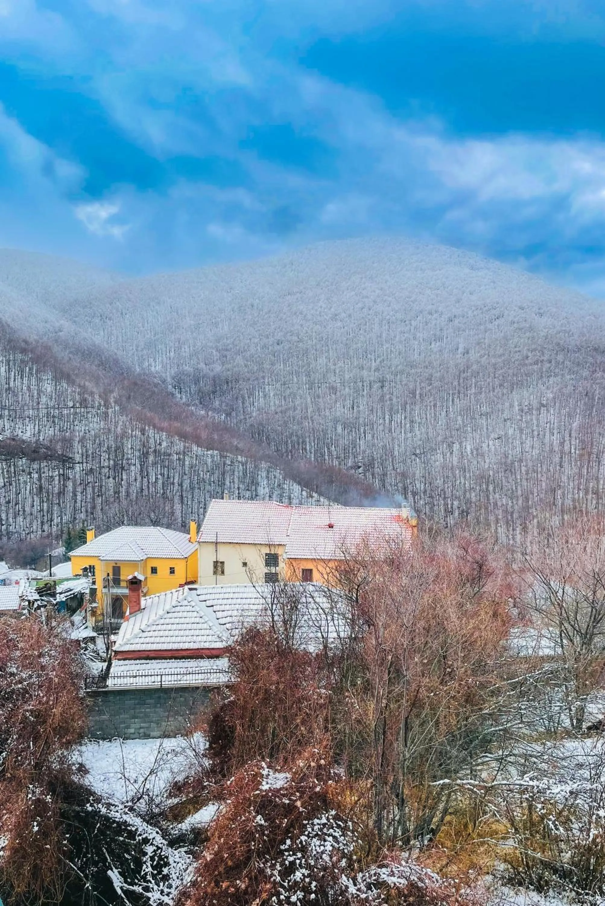 Day in Muses Apartments