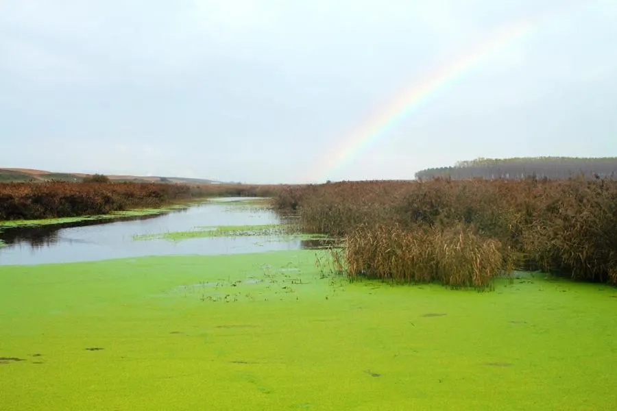 Natural landscape in Hospedería de Alesves