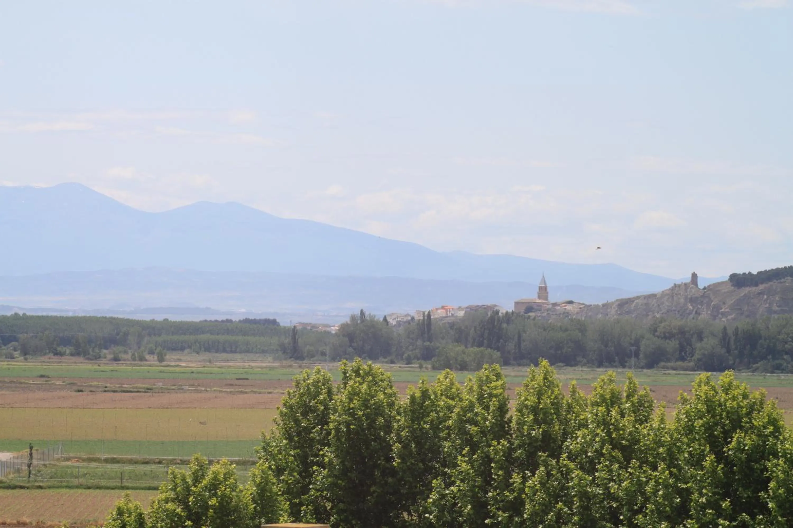 View (from property/room) in Hospedería de Alesves