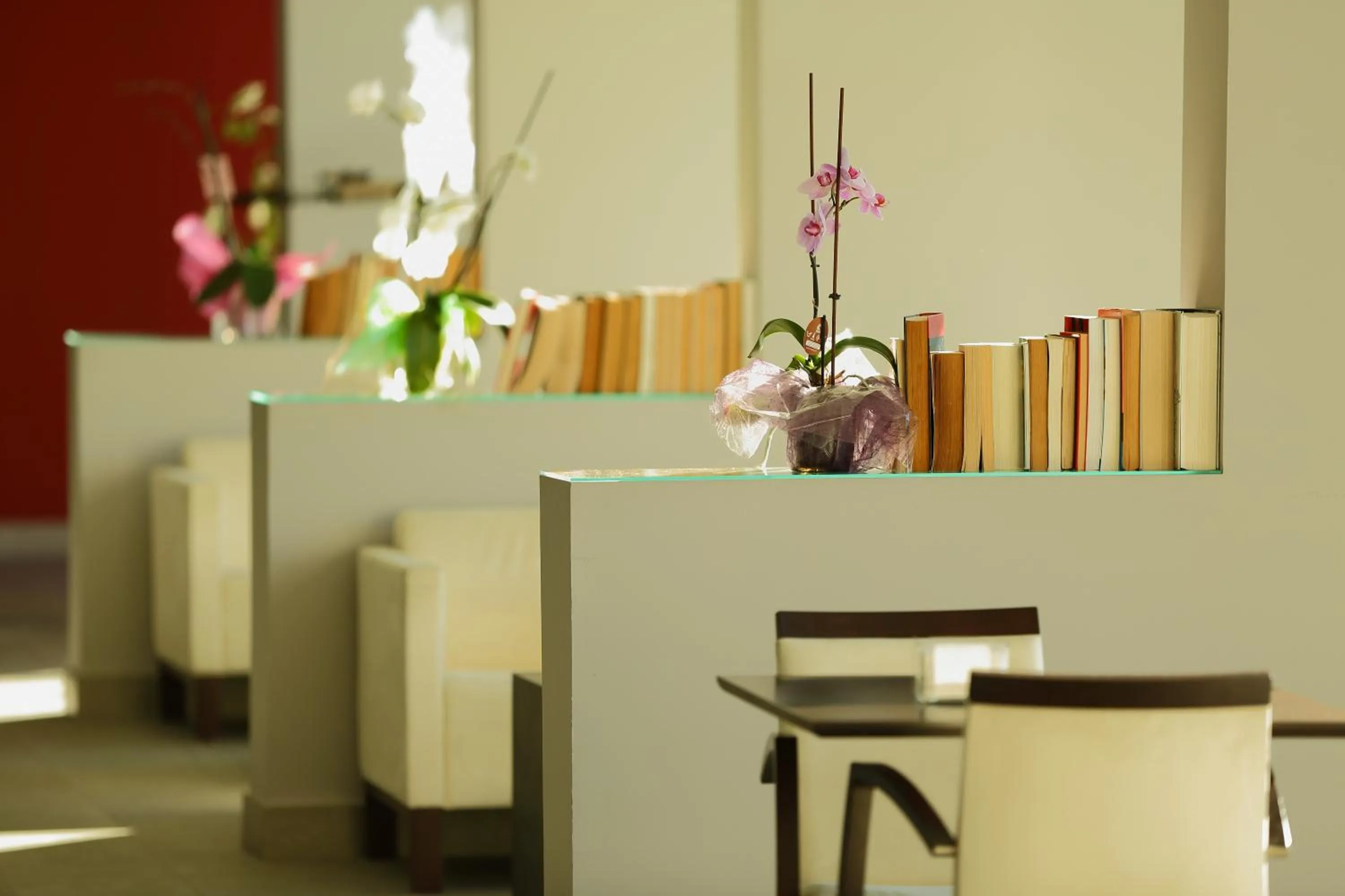 Library in Hotel Herbeira