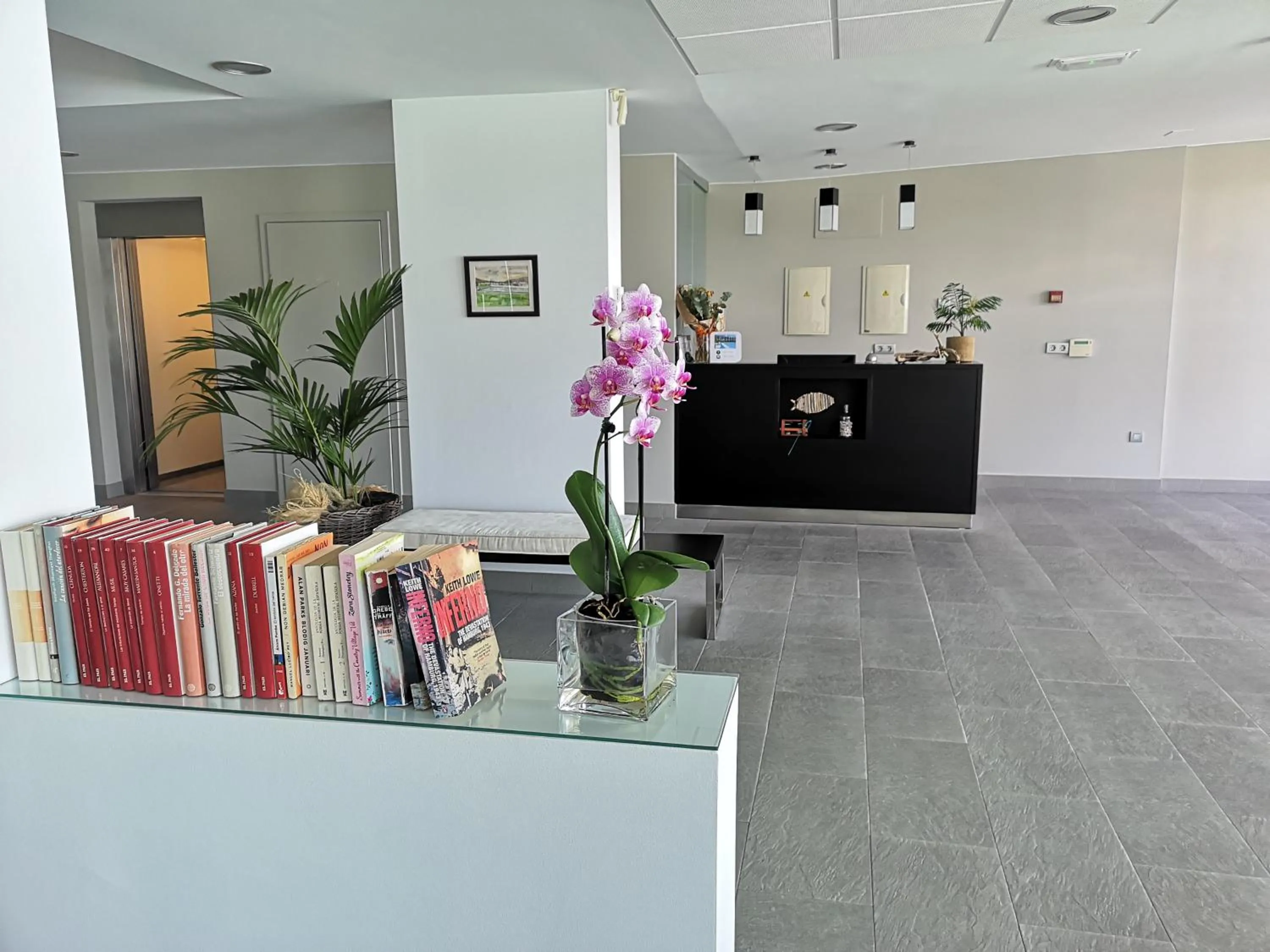 Library in Hotel Herbeira