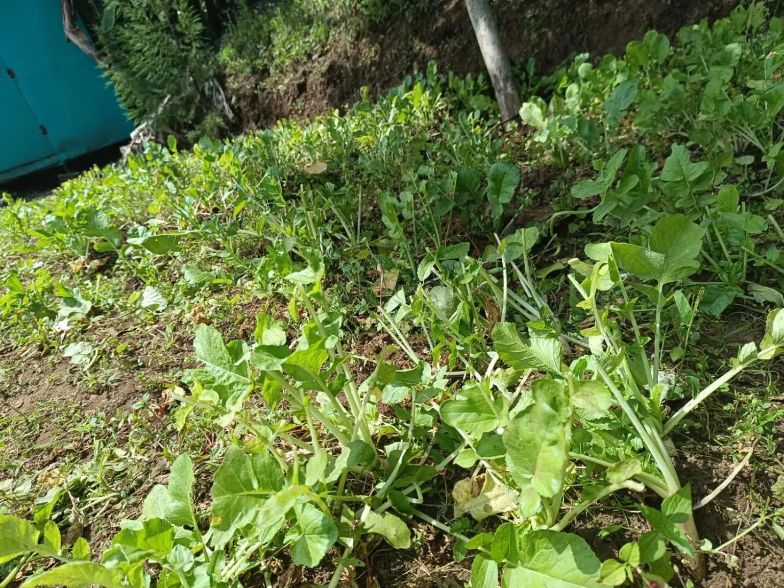 4REST INN PRIVATE LIMITED