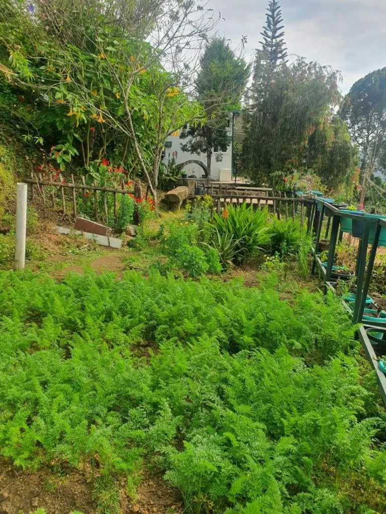 4REST INN PRIVATE LIMITED