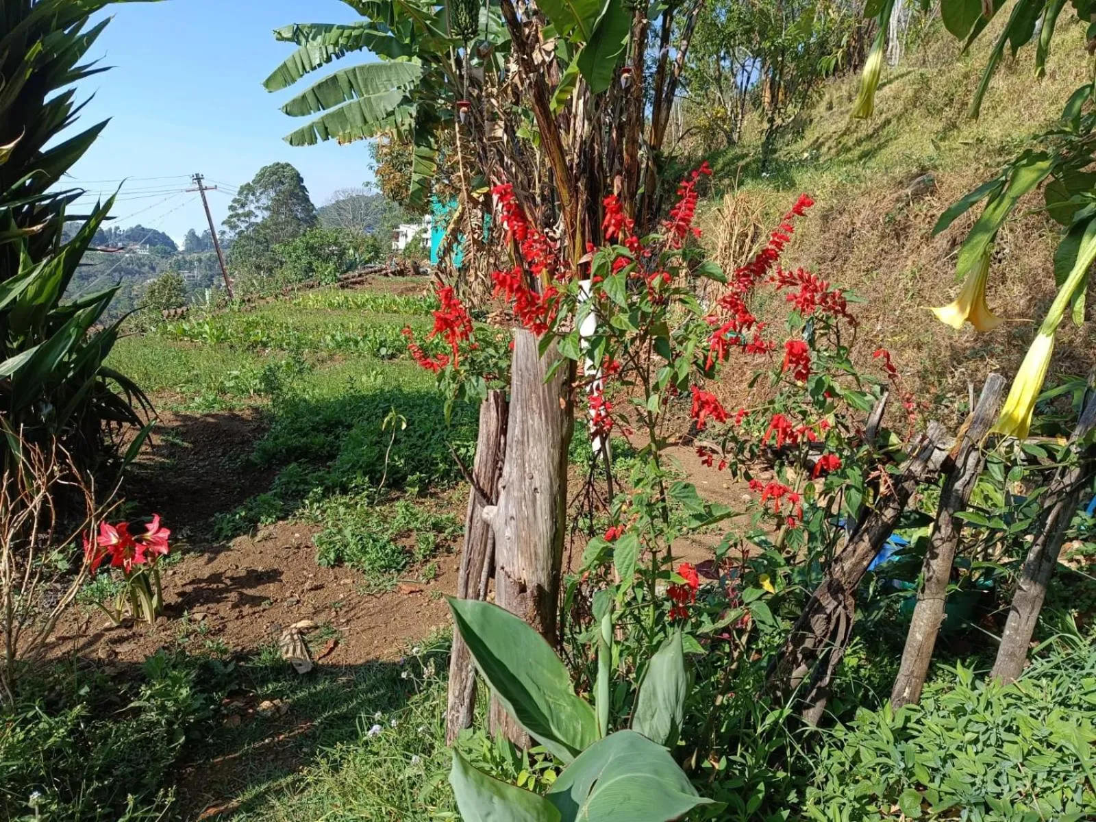 4REST INN PRIVATE LIMITED