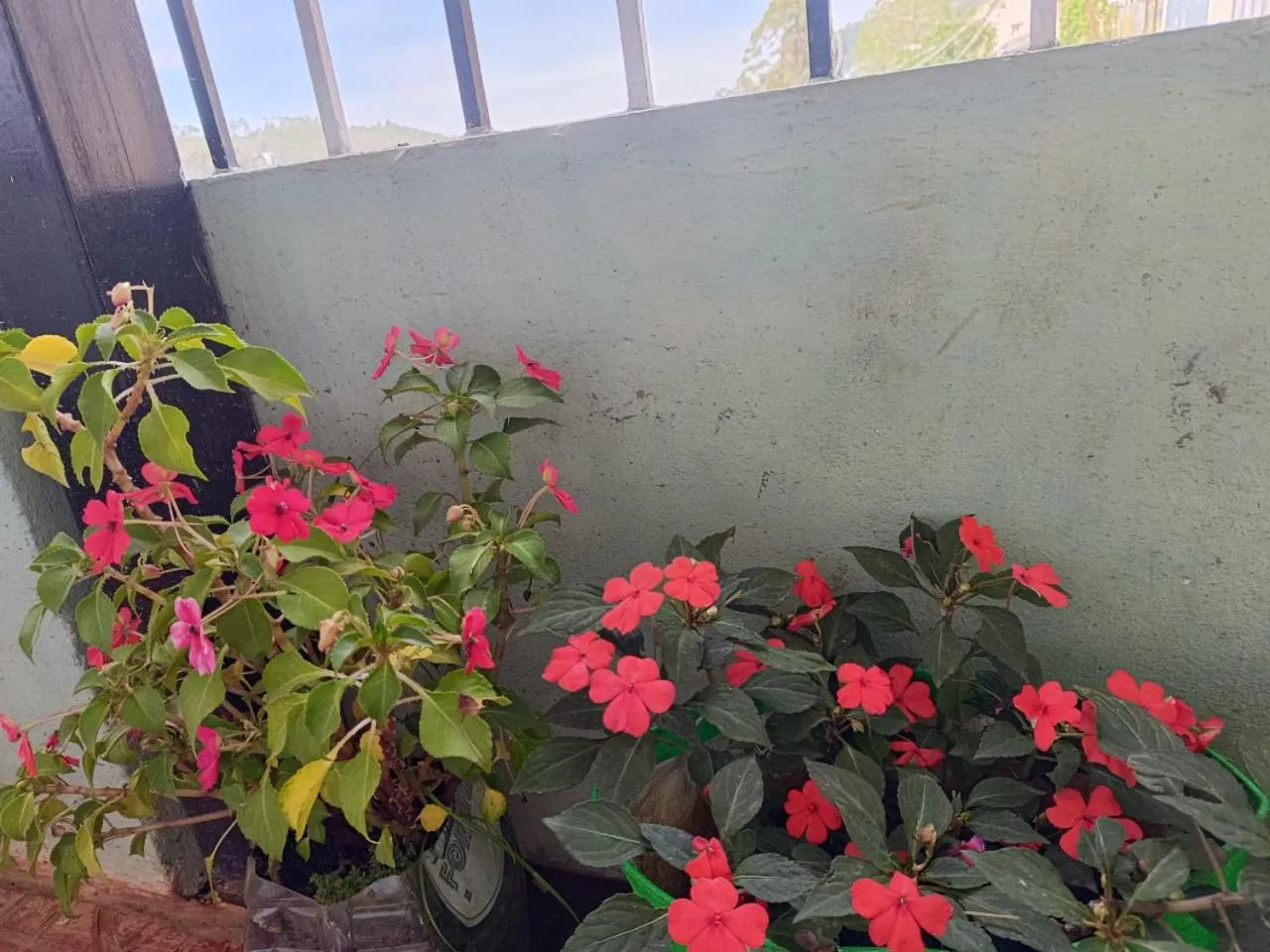 4REST INN PRIVATE LIMITED