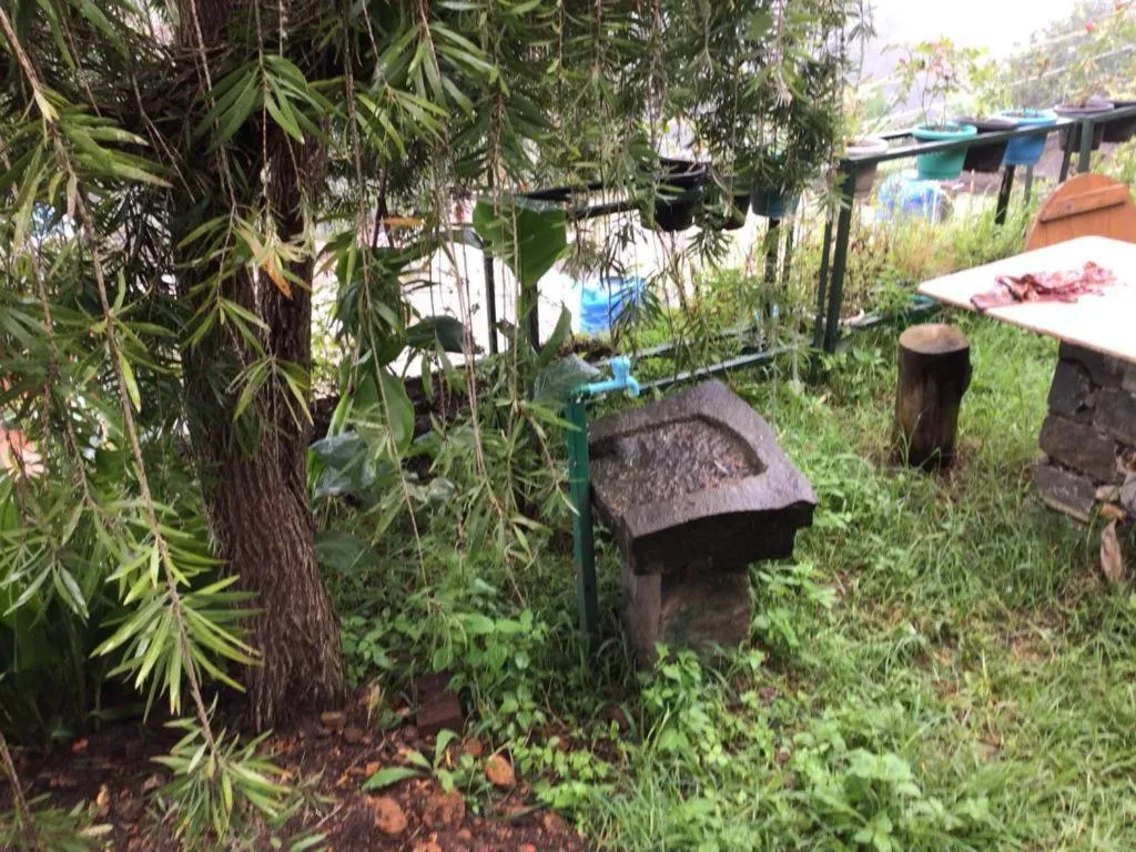 Garden view in 4REST INN PRIVATE LIMITED