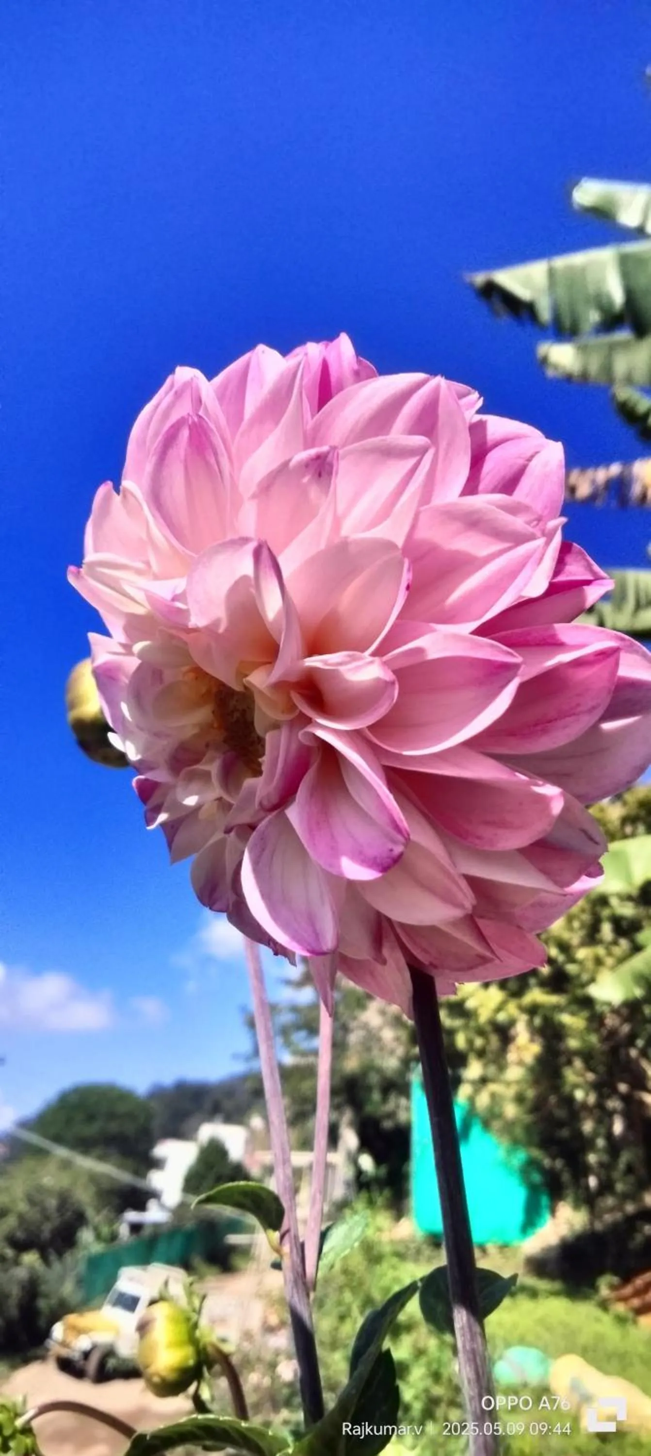 Garden in 4REST INN PRIVATE LIMITED