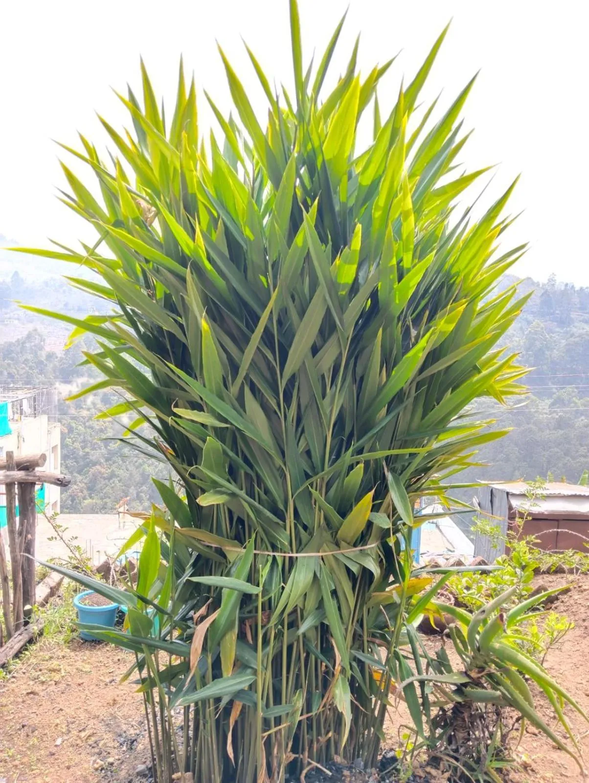 4REST INN PRIVATE LIMITED