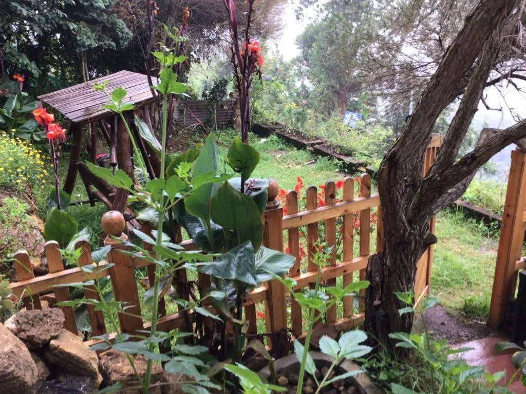 Property building in 4REST INN PRIVATE LIMITED