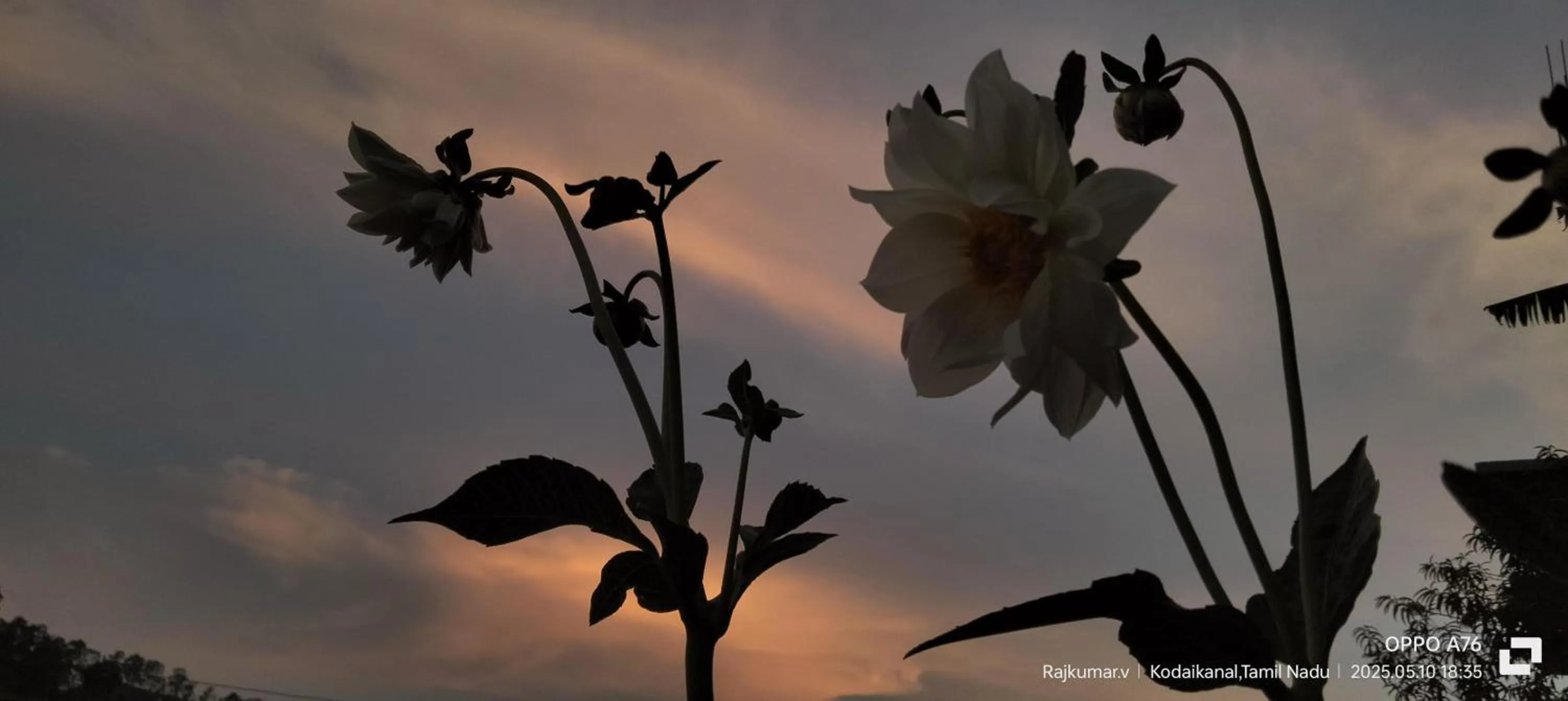 Sunset in 4REST INN PRIVATE LIMITED