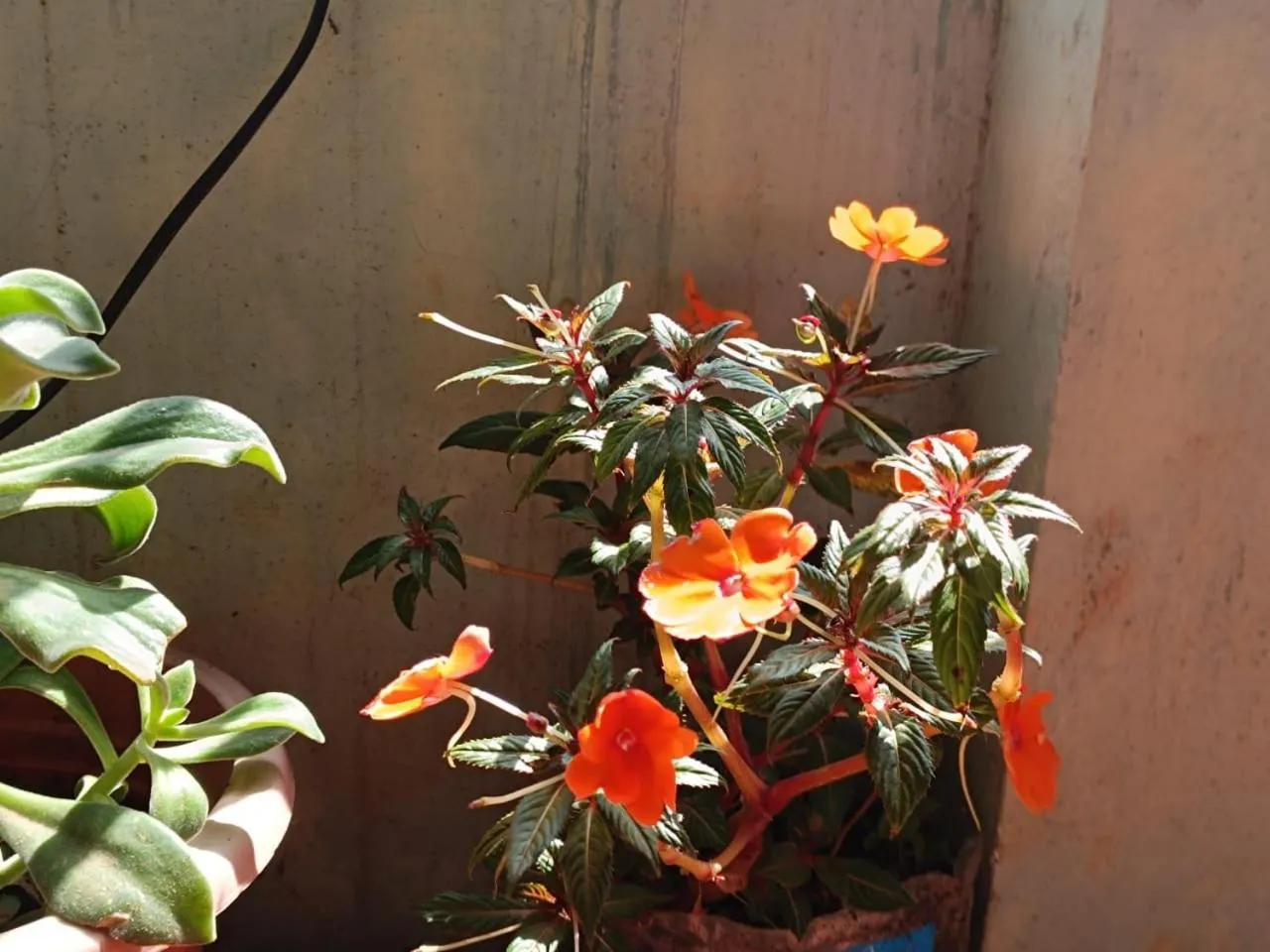 4REST INN PRIVATE LIMITED