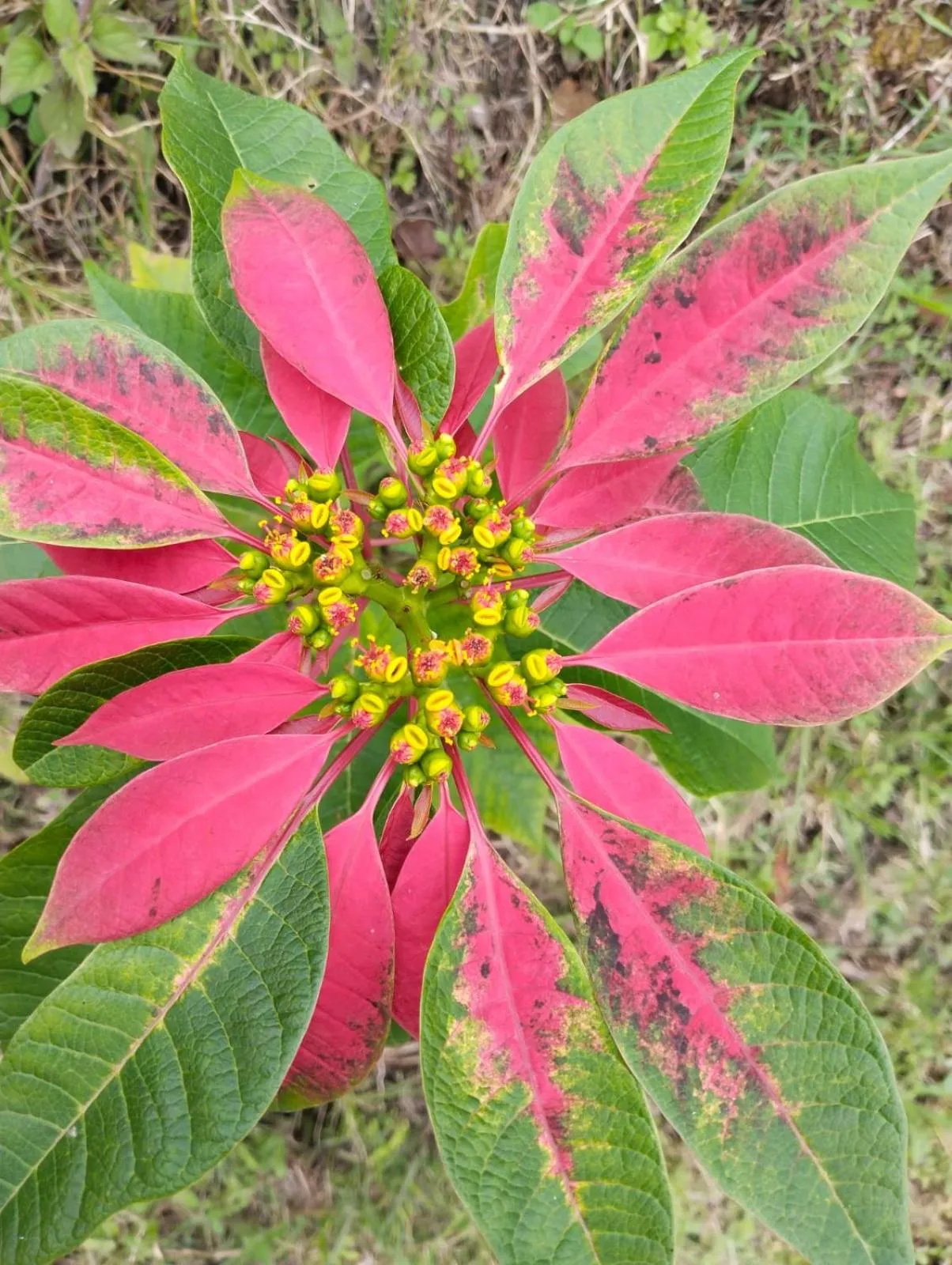 4REST INN PRIVATE LIMITED