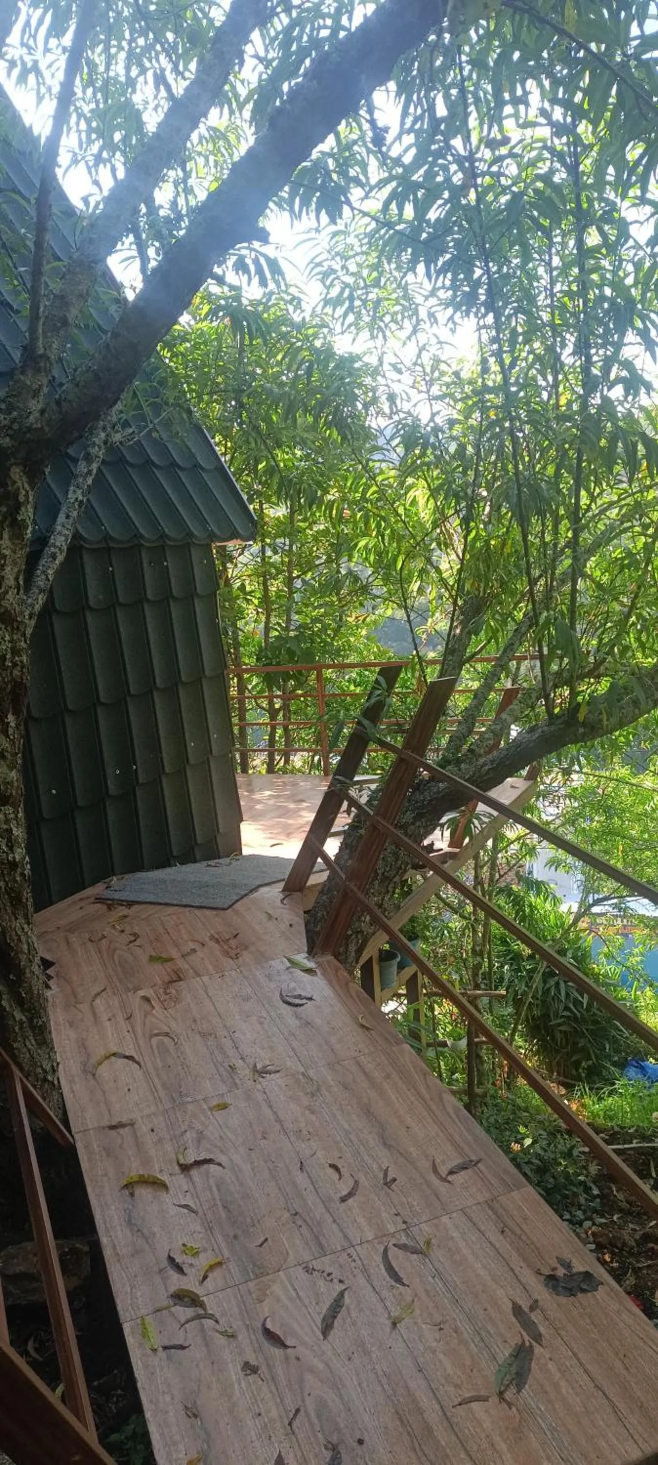 Garden in 4REST INN PRIVATE LIMITED