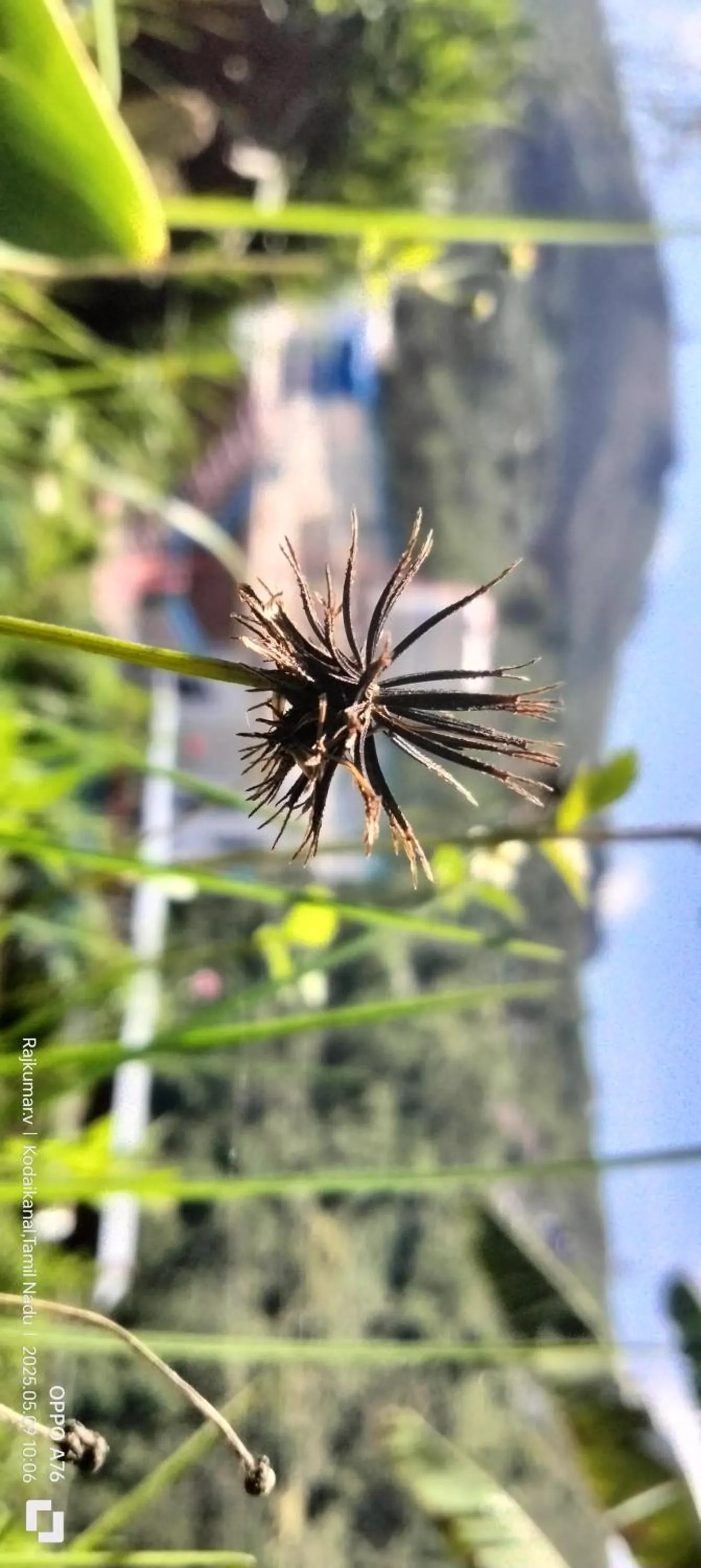 Garden in 4REST INN PRIVATE LIMITED