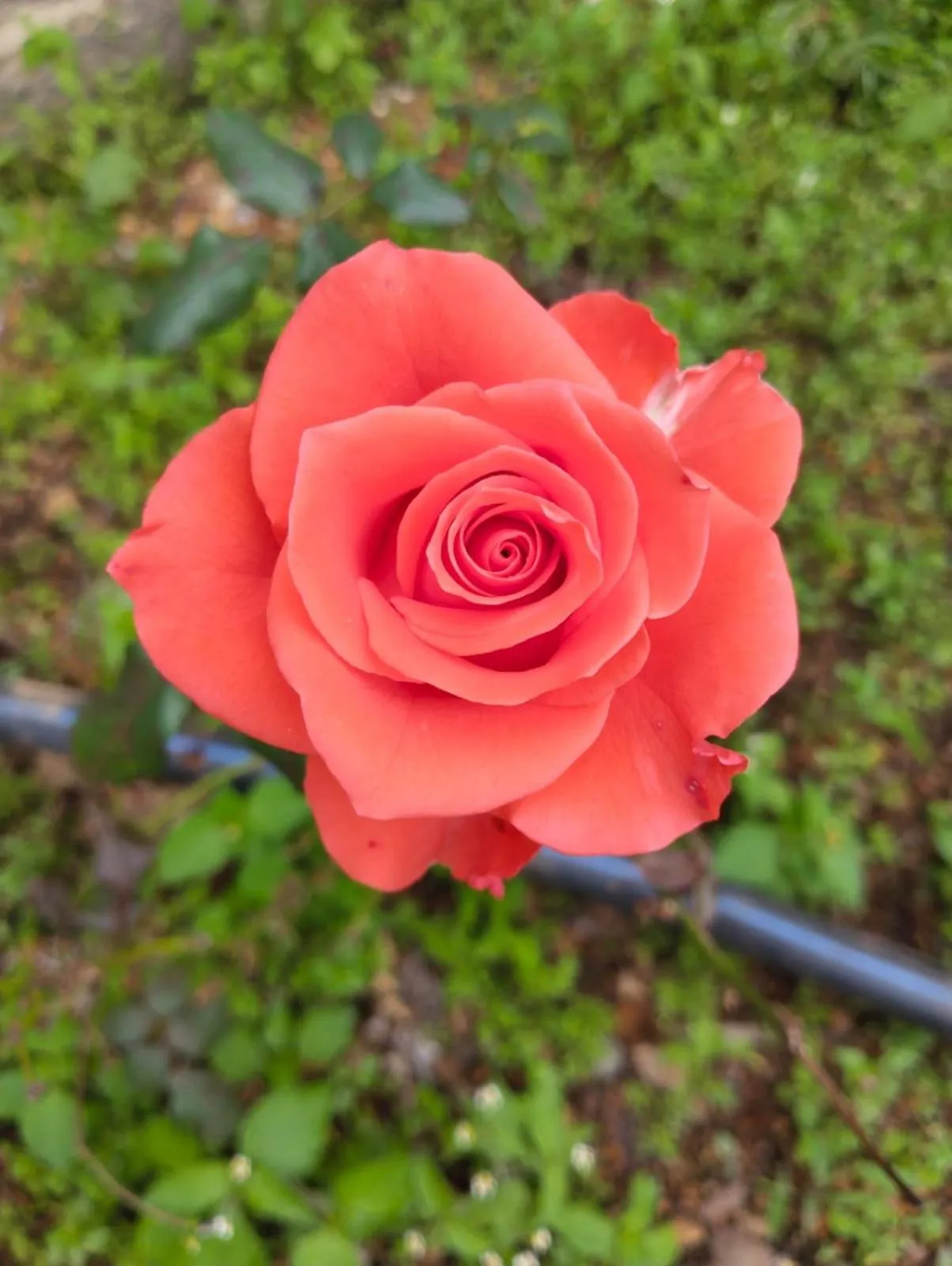 4REST INN PRIVATE LIMITED