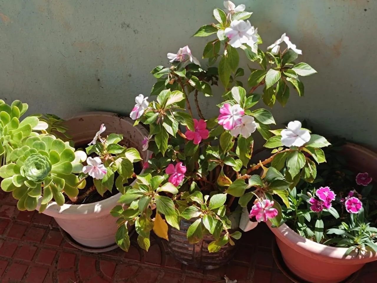 4REST INN PRIVATE LIMITED