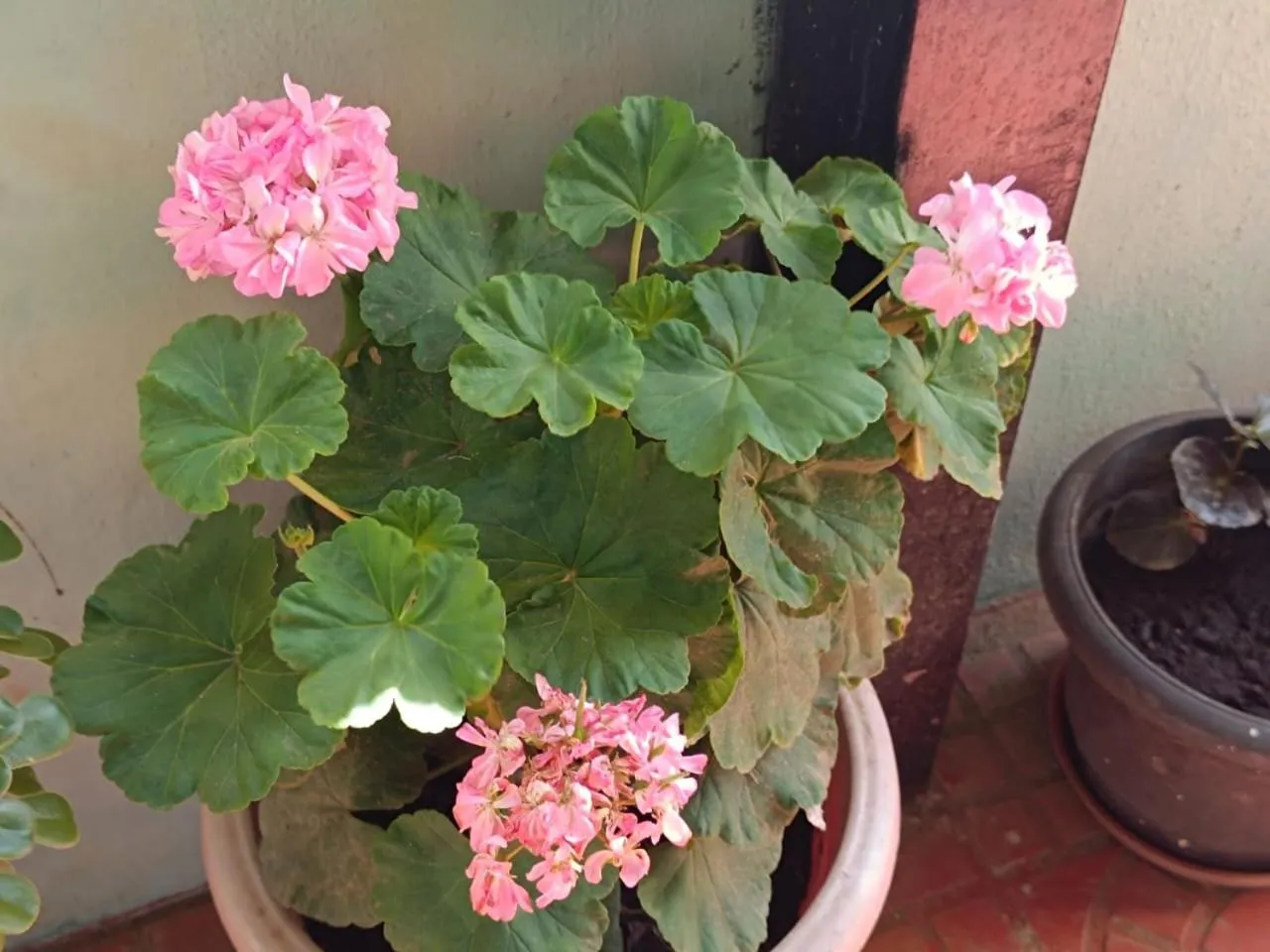 4REST INN PRIVATE LIMITED