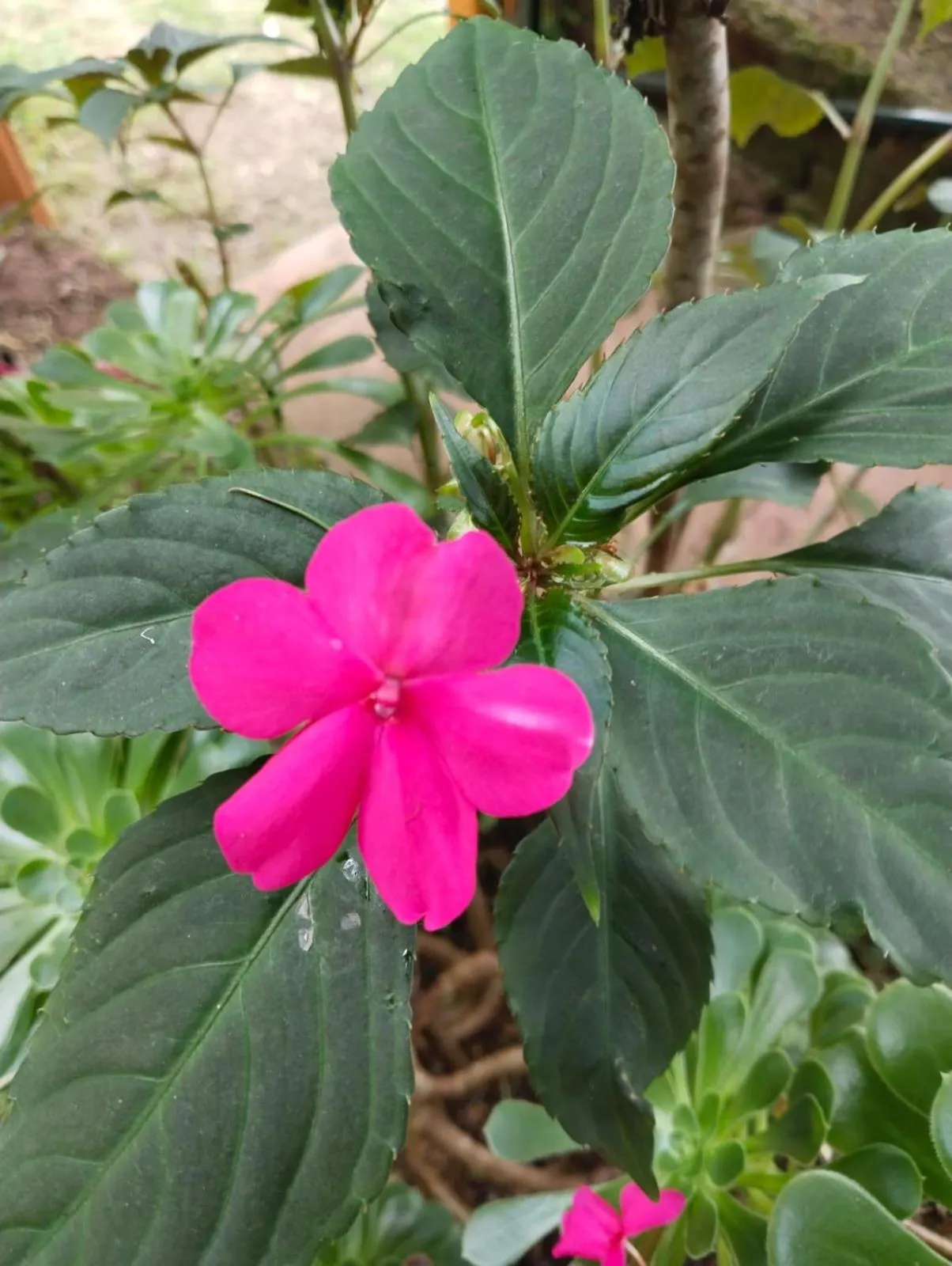 4REST INN PRIVATE LIMITED