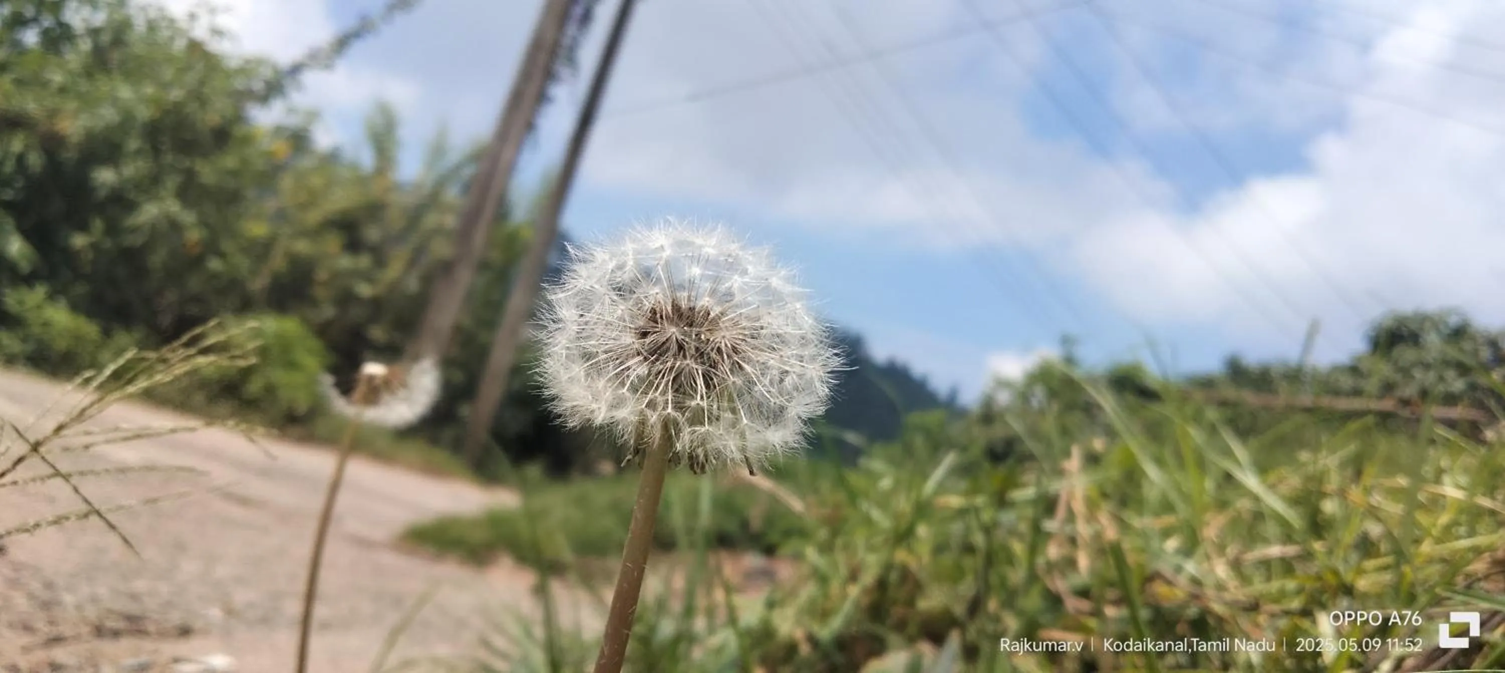 Garden in 4REST INN PRIVATE LIMITED