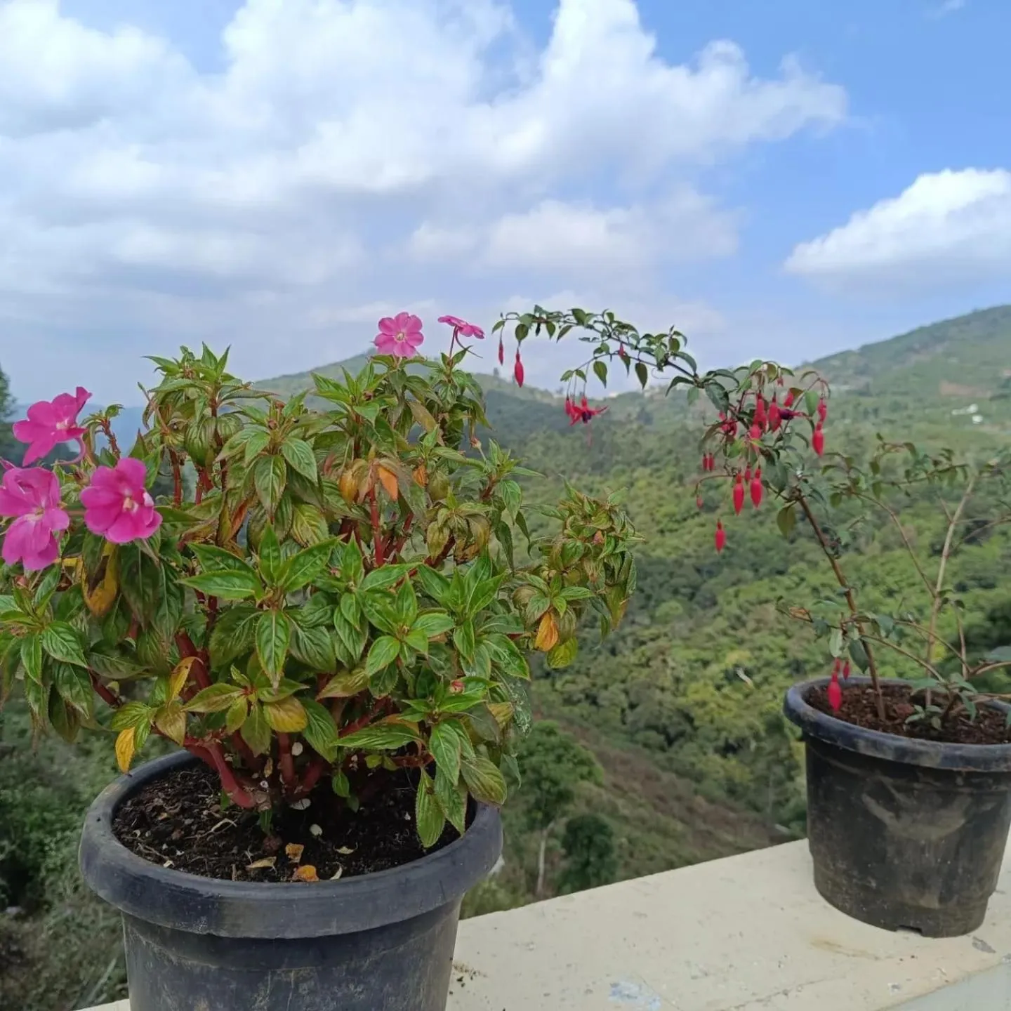 4REST INN PRIVATE LIMITED