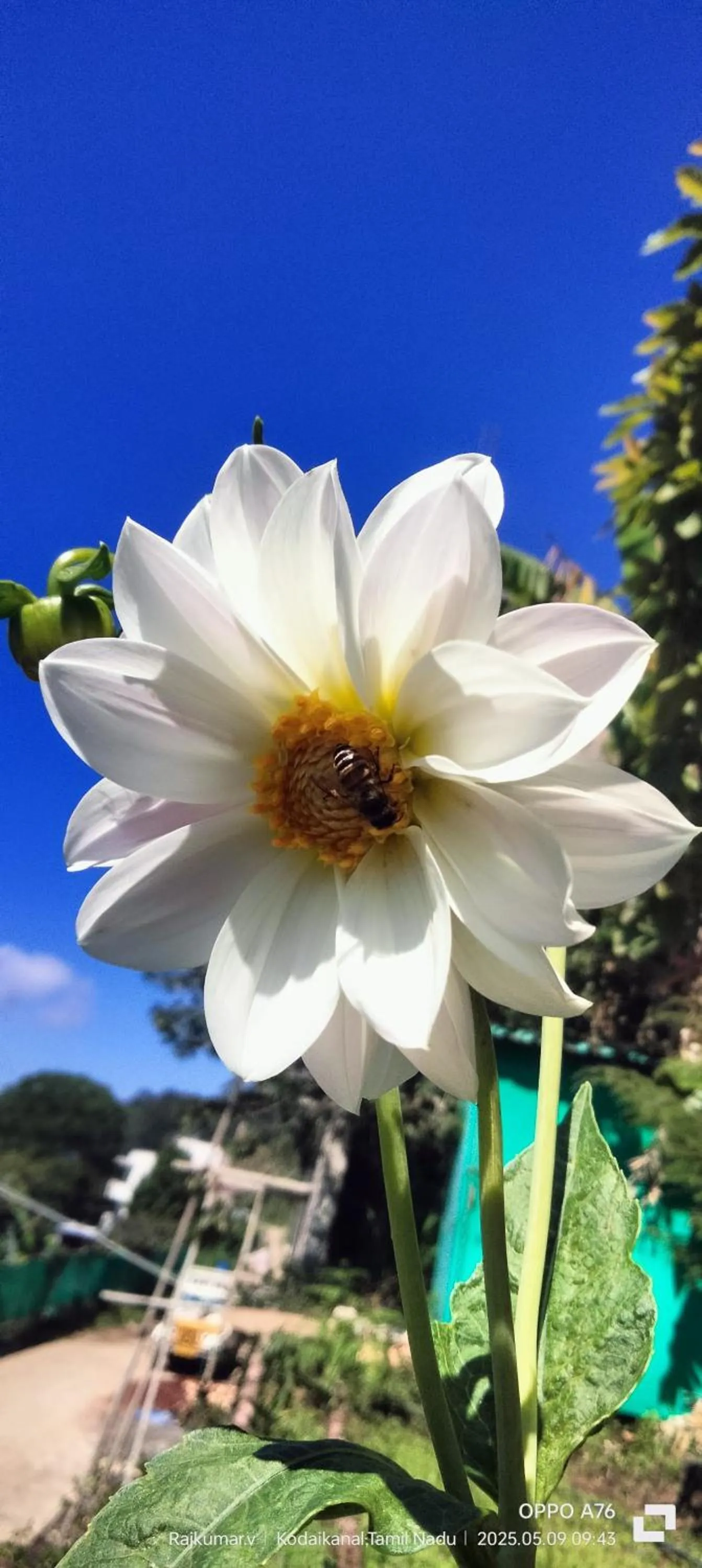 Garden in 4REST INN PRIVATE LIMITED