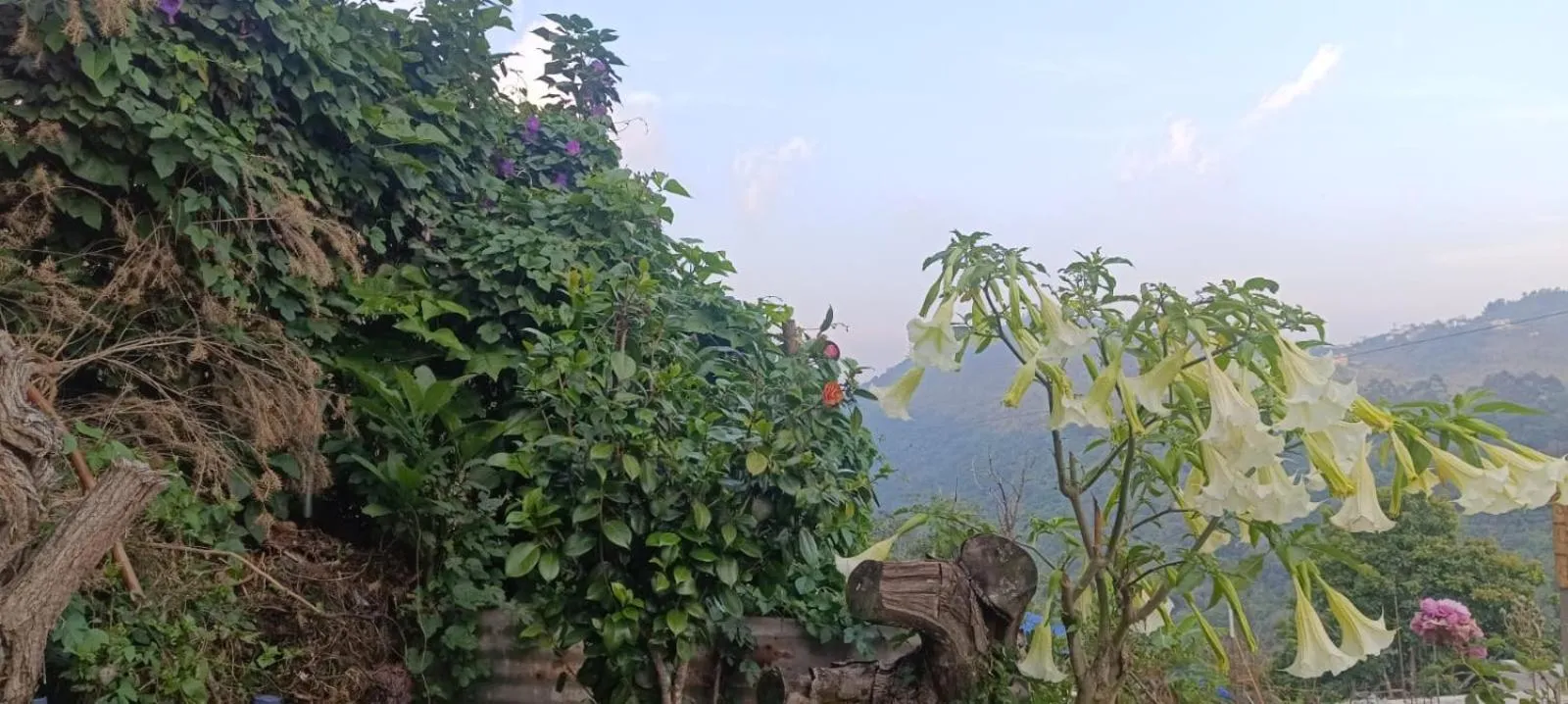 Spring in 4REST INN PRIVATE LIMITED