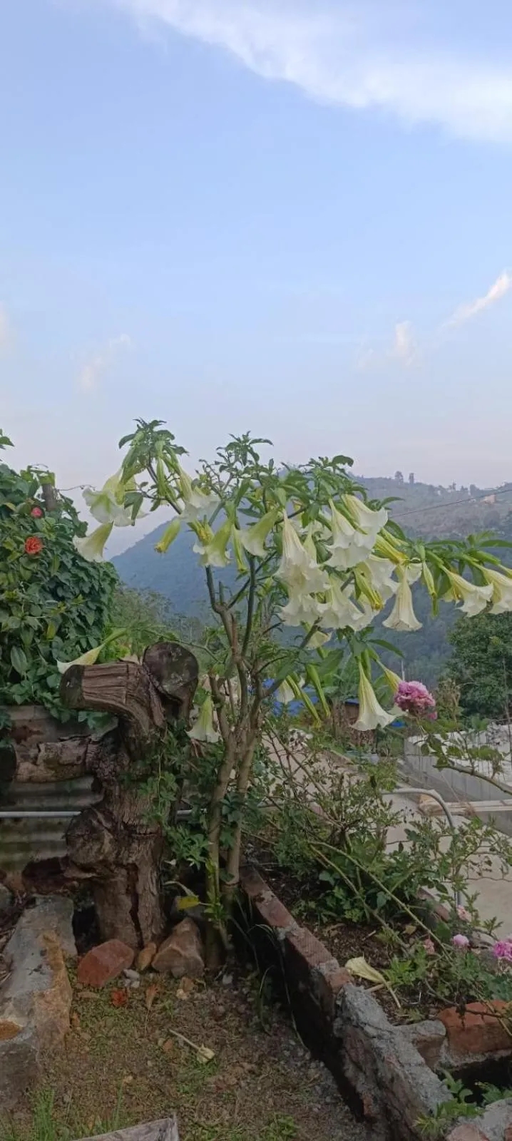 Day in 4REST INN PRIVATE LIMITED