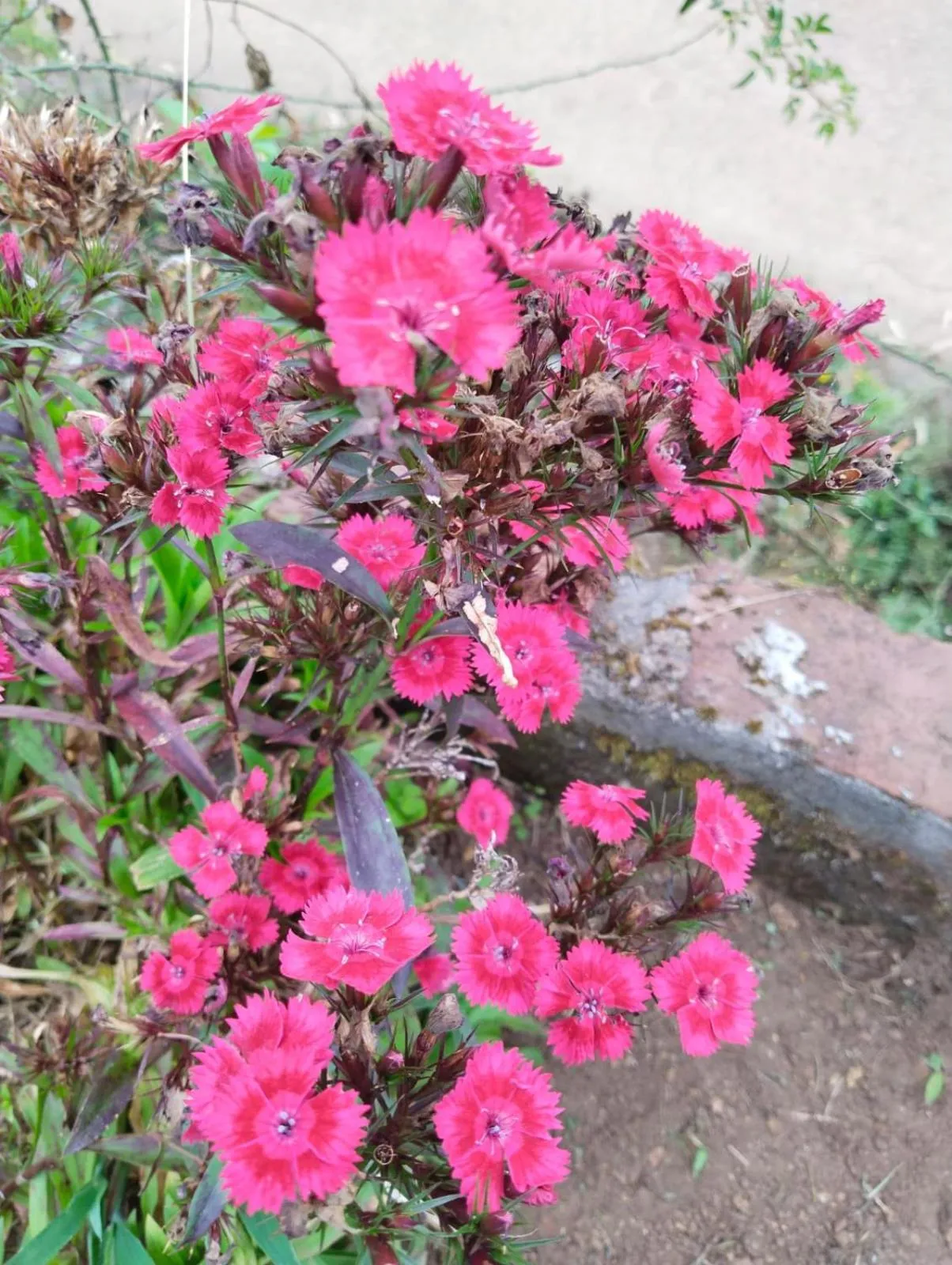 4REST INN PRIVATE LIMITED