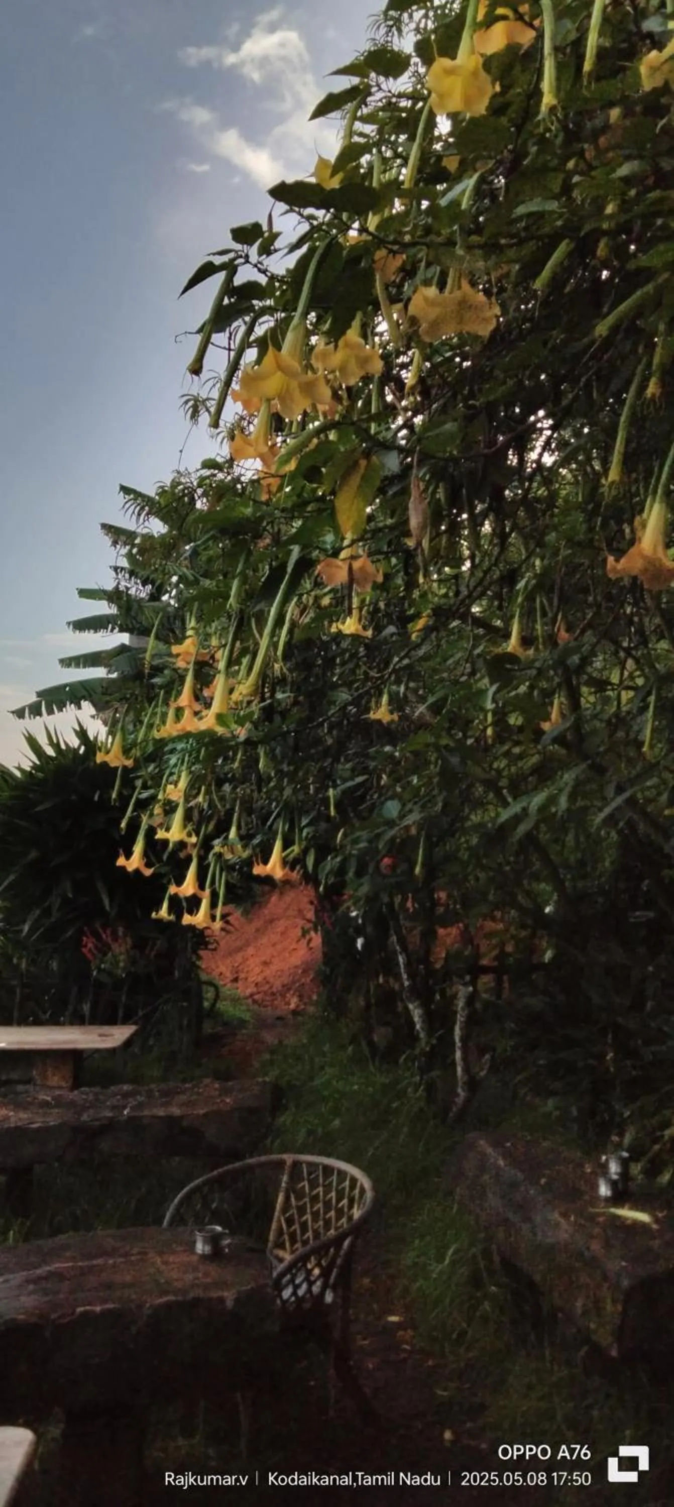 Garden in 4REST INN PRIVATE LIMITED