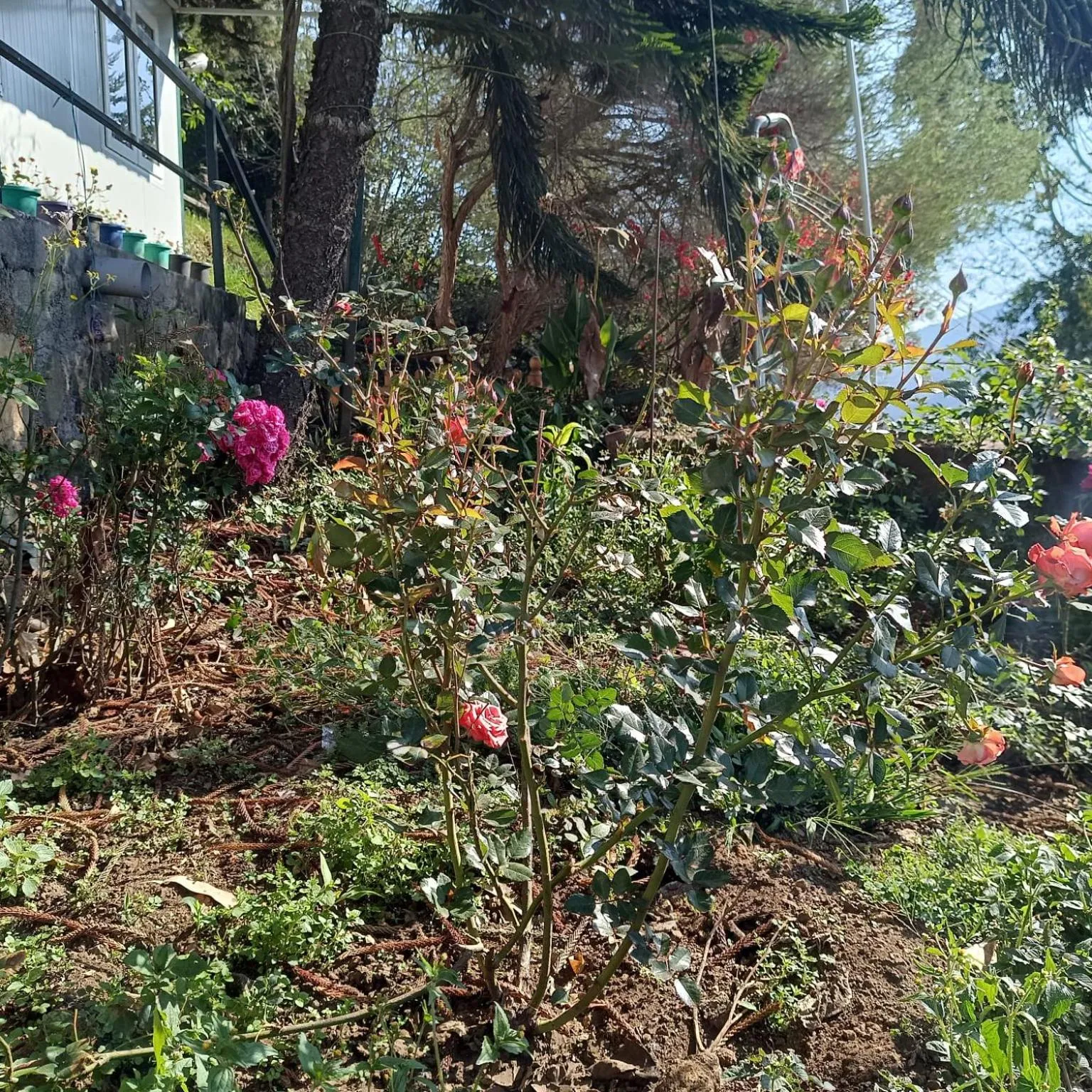 4REST INN PRIVATE LIMITED