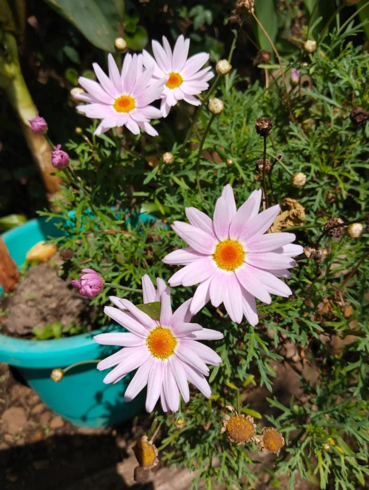 4REST INN PRIVATE LIMITED