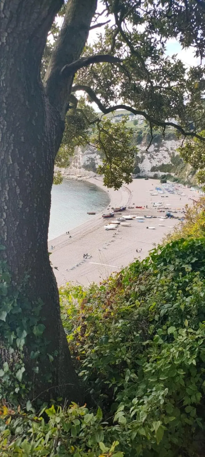 Beach in 2 Bed Cottage - Hot Tub Garden Parking