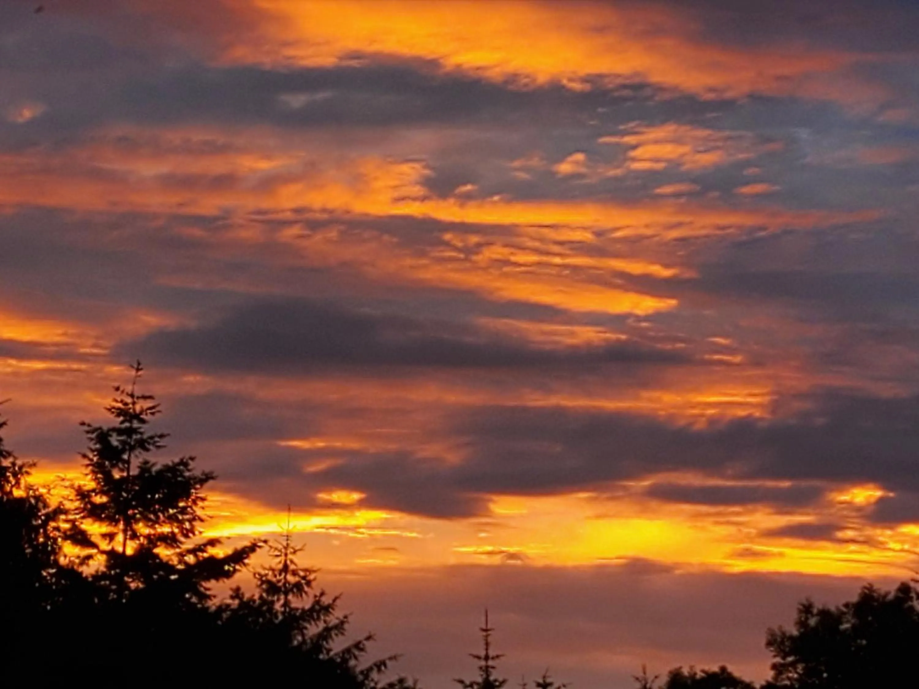 Sunrise in 2 Bed Cottage - Hot Tub Garden Parking