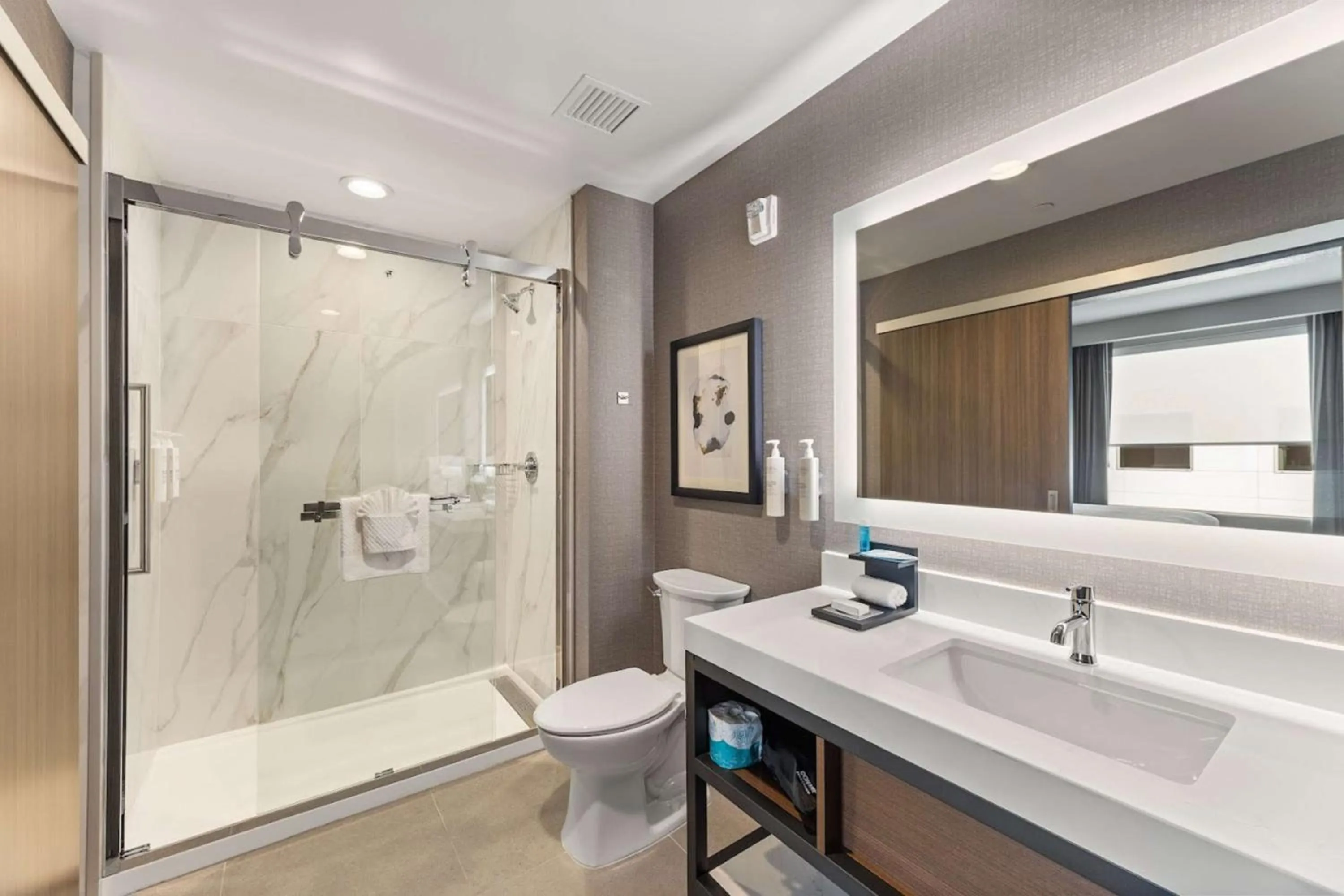 Bathroom in Embassy Suites By Hilton Irving Las Colinas