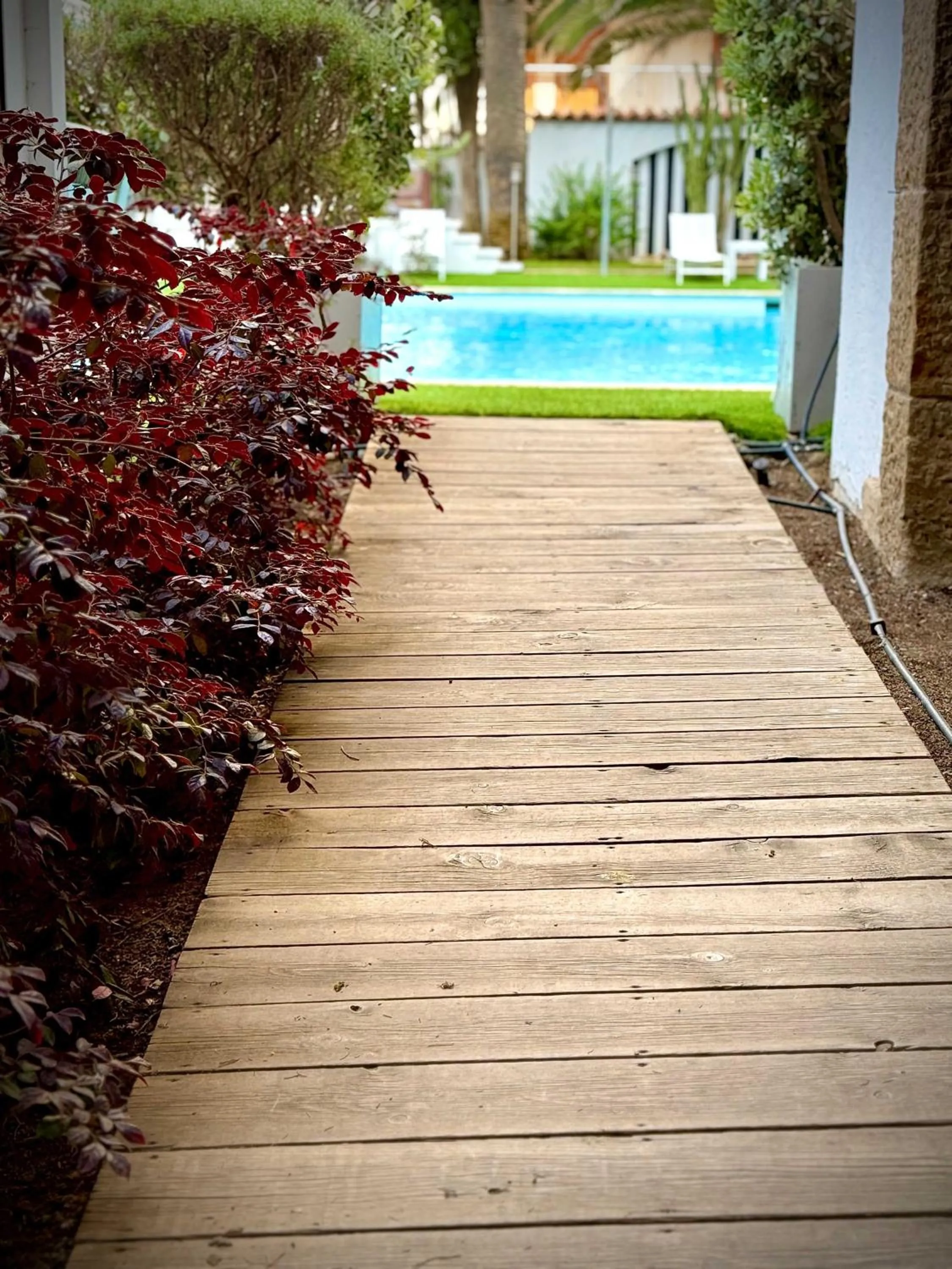 Swimming pool in Hotel Trias