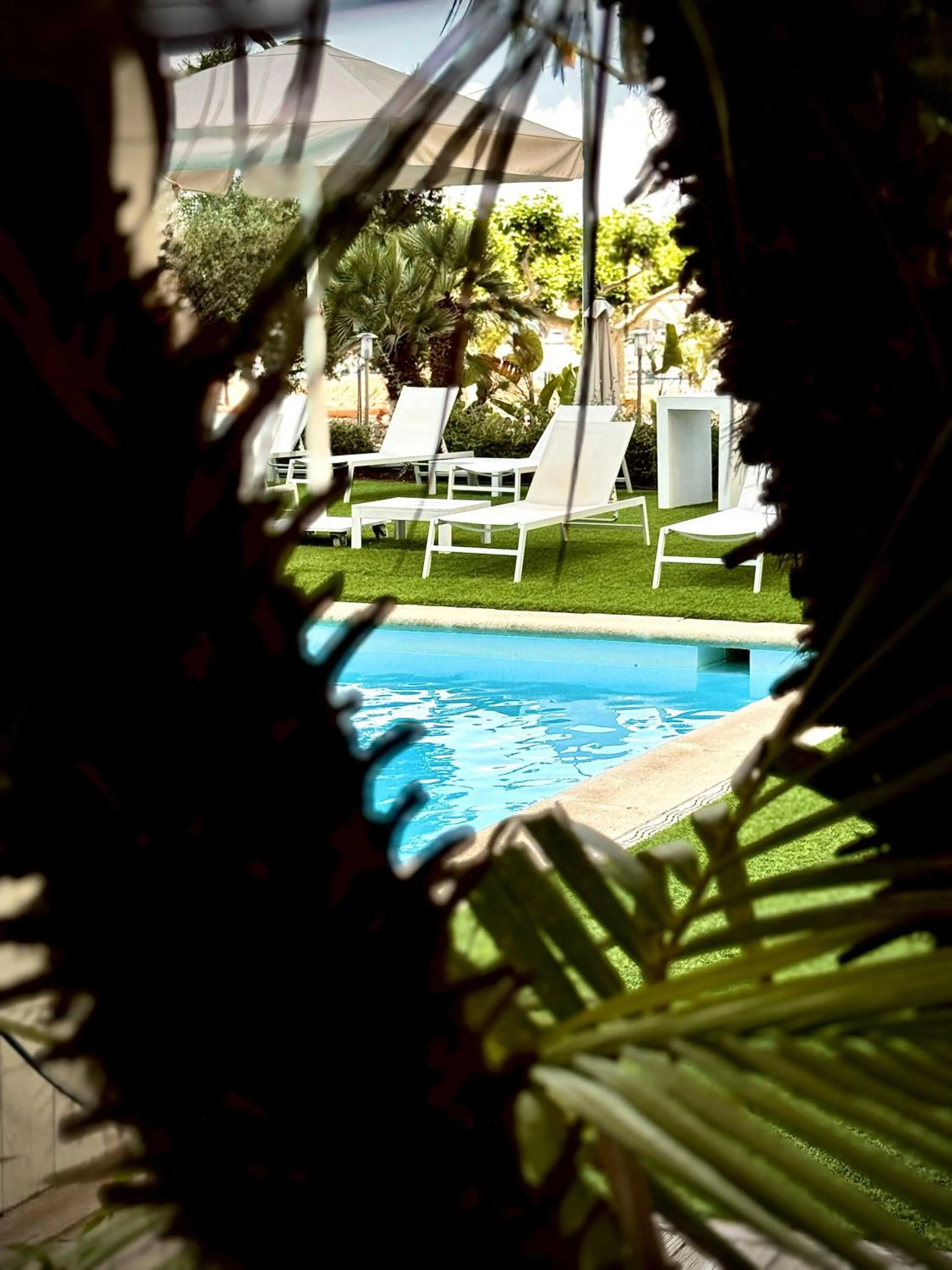 Swimming pool in Hotel Trias