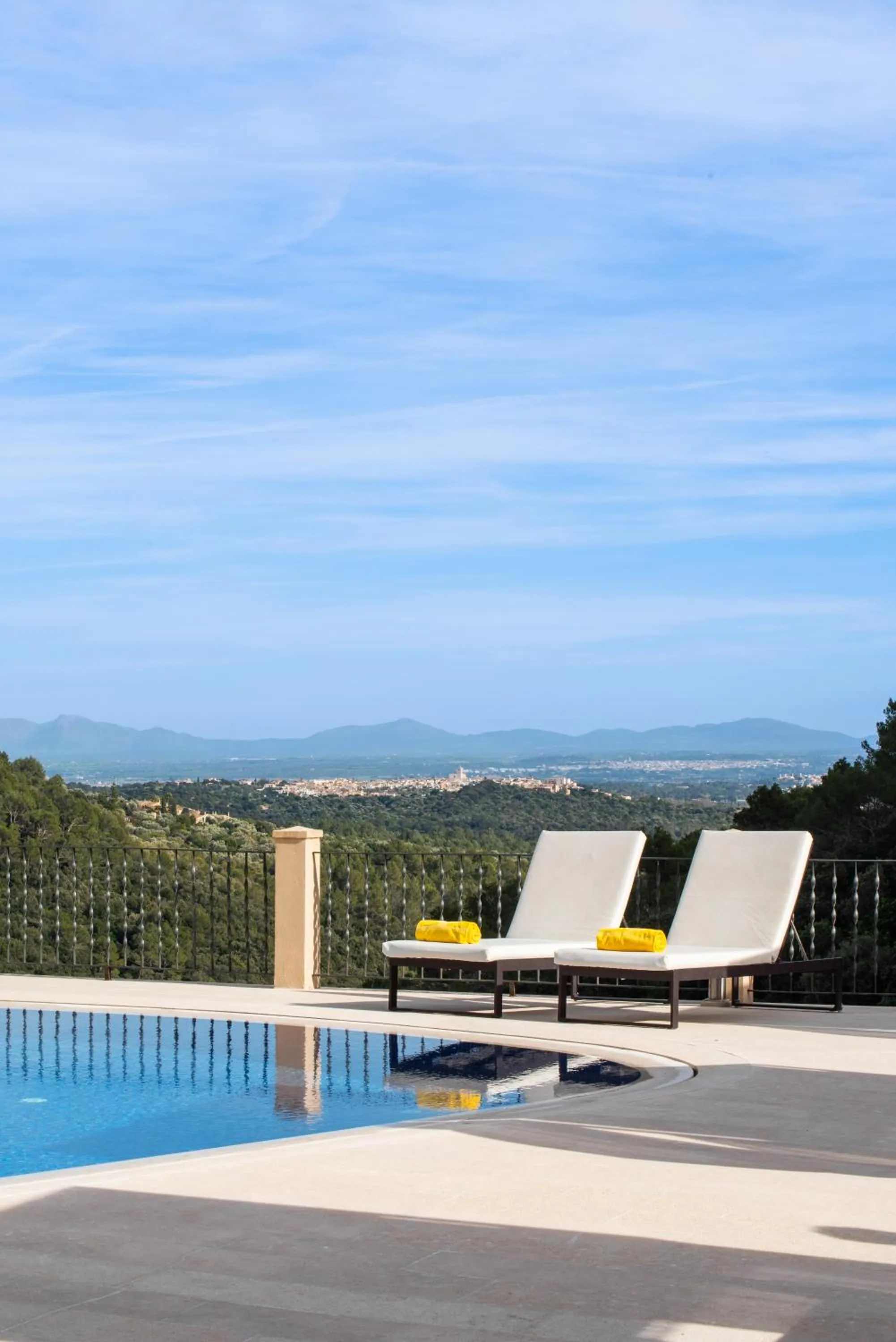 Swimming pool in Finca Albellons
