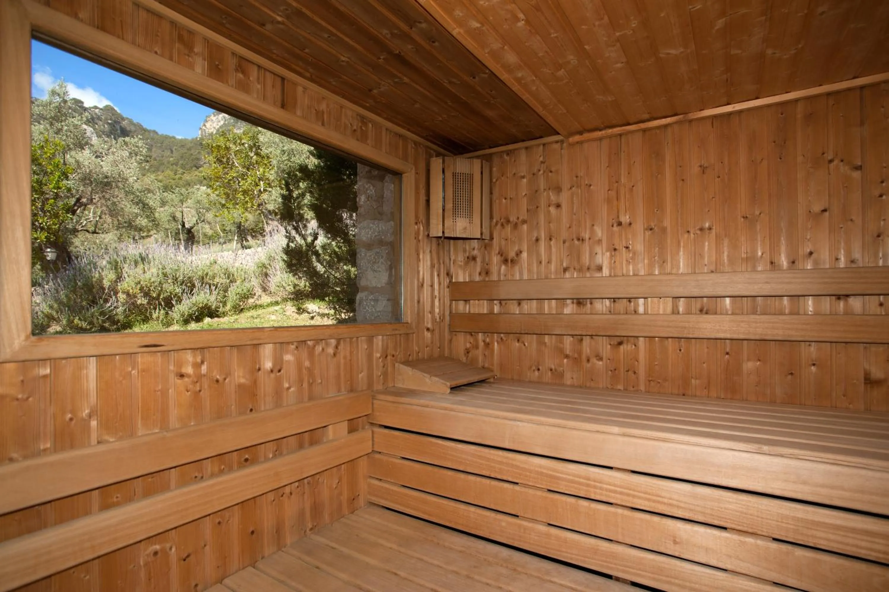 Spa and wellness centre/facilities in Finca Albellons