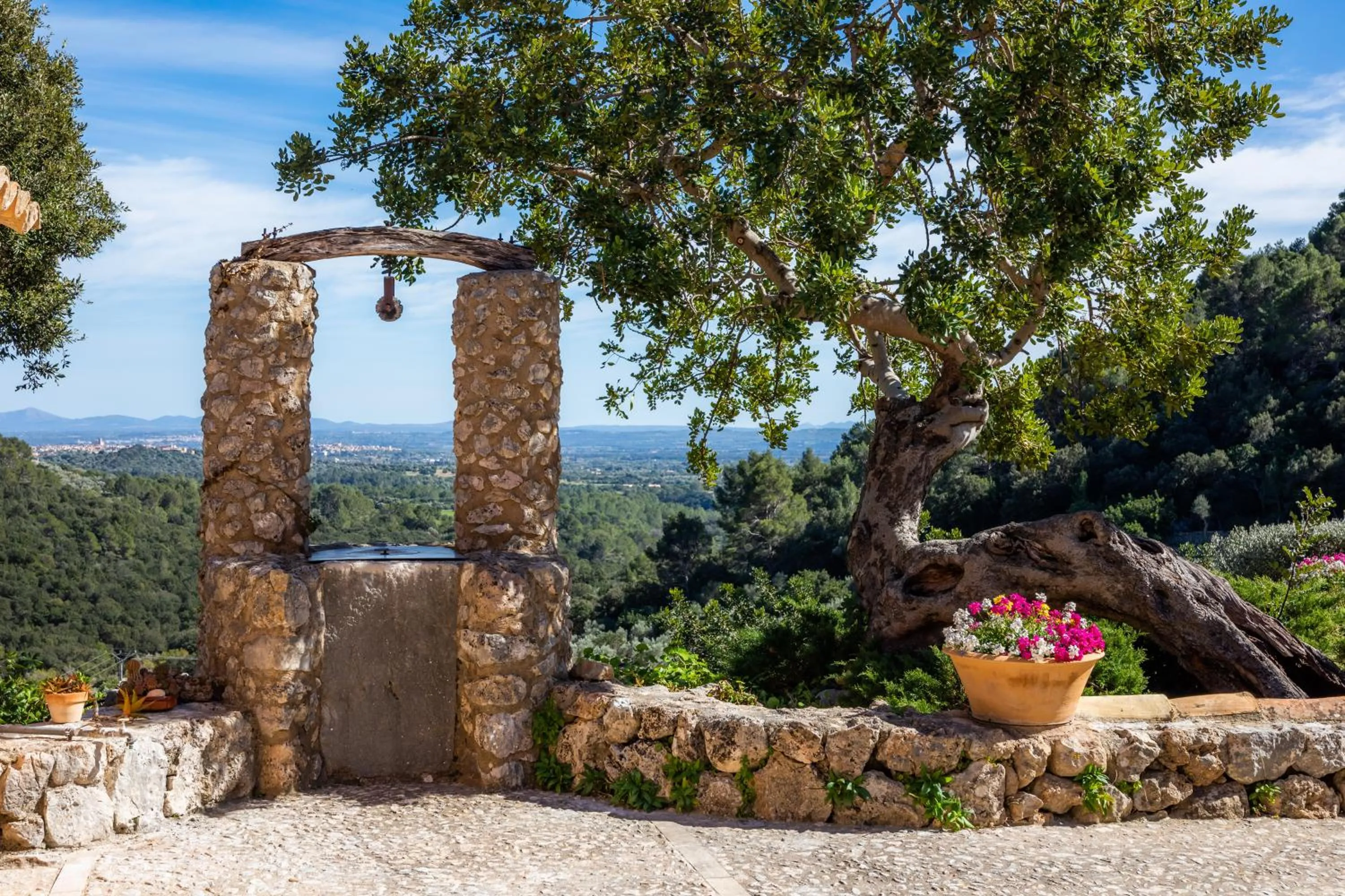 Natural landscape in Finca Albellons