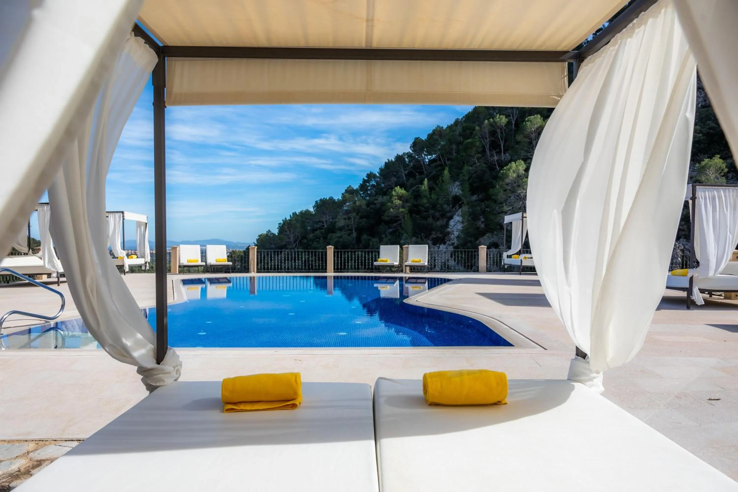 Swimming pool in Finca Albellons