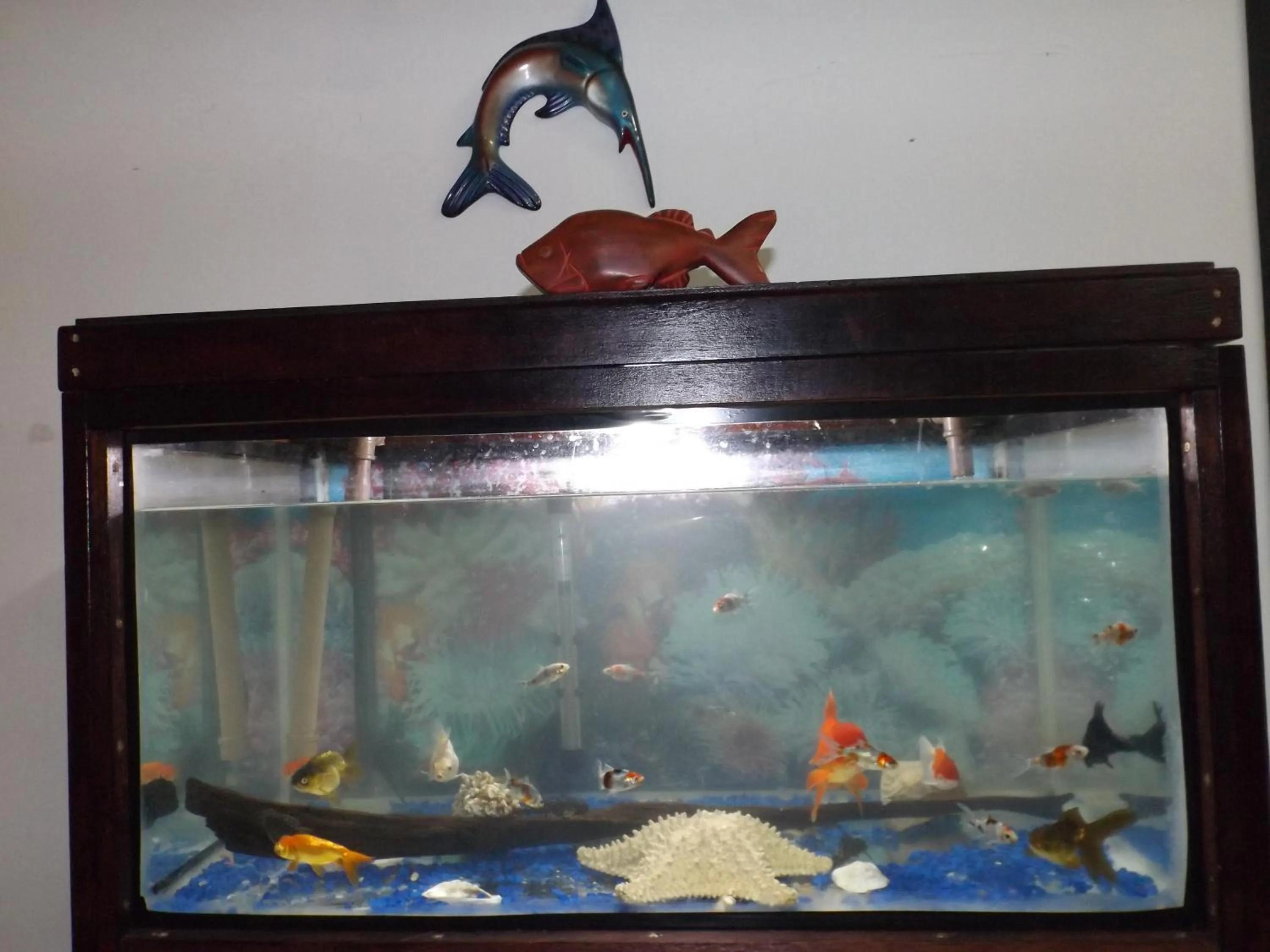 Communal lounge/ TV room in Hostel Lize