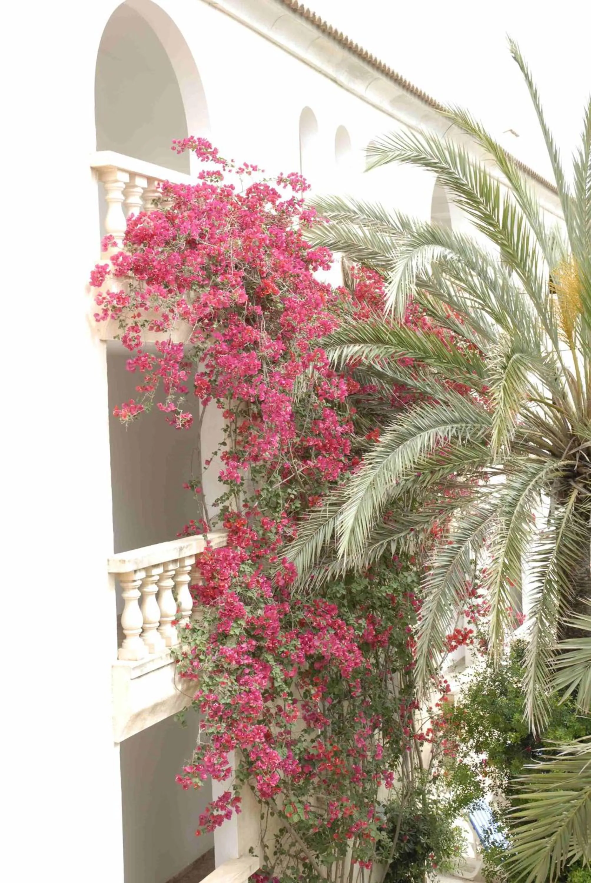 Facade/entrance in Es Baulo Petit Hotel