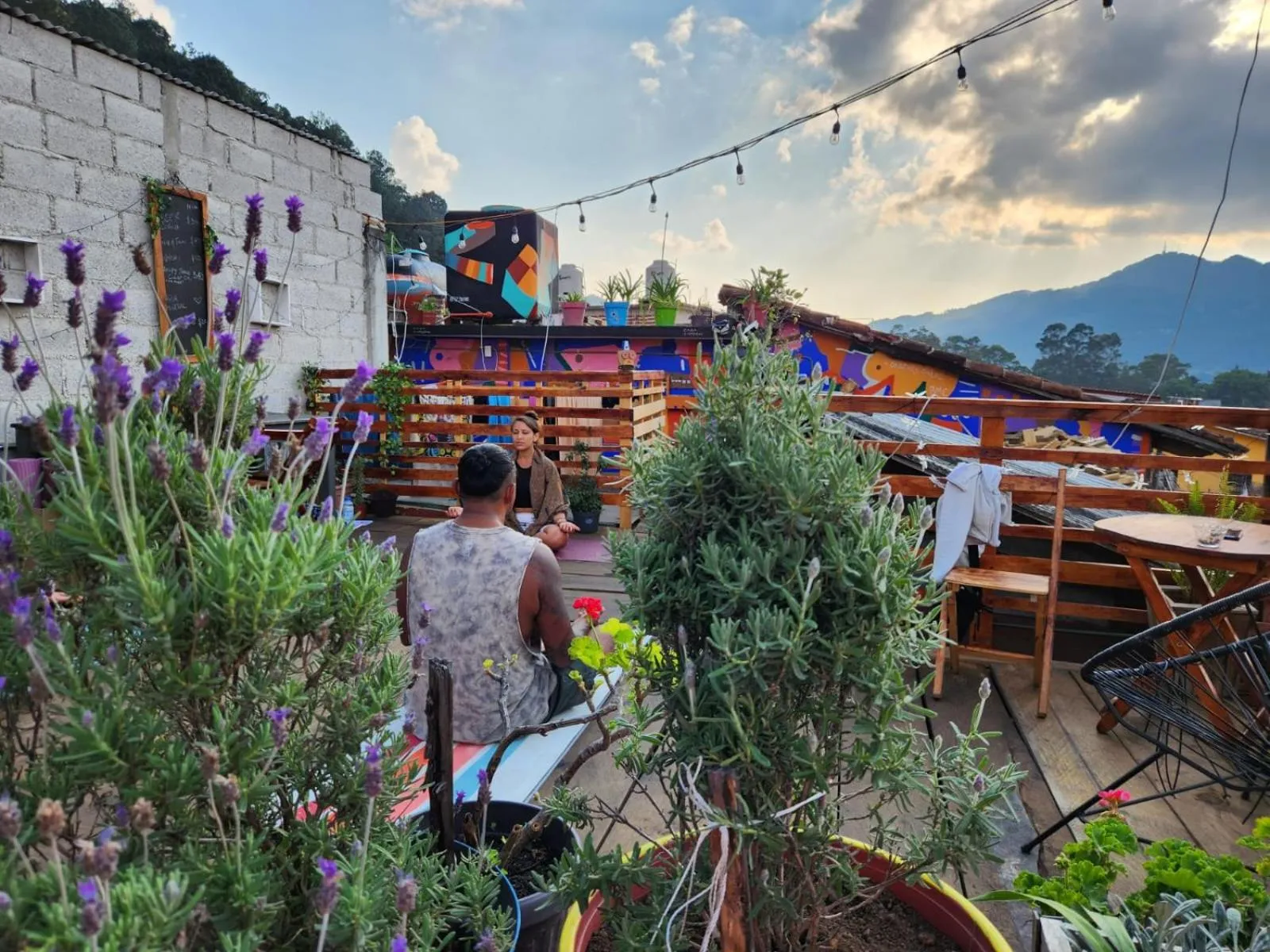 Spring in Casa Satoshi