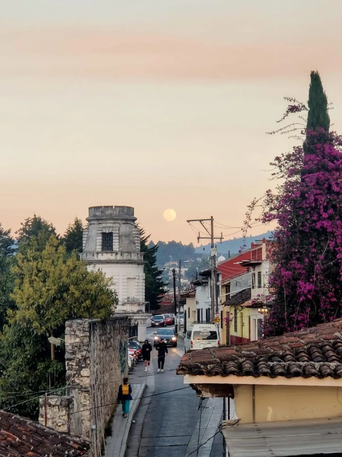 Neighbourhood in Casa Satoshi