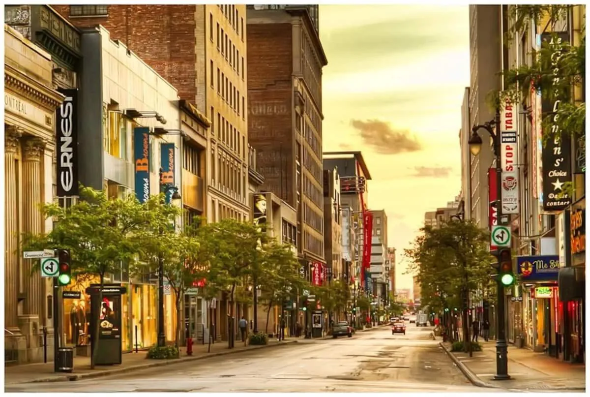 M11 Stylish Cute 3BR in the Heart of the City