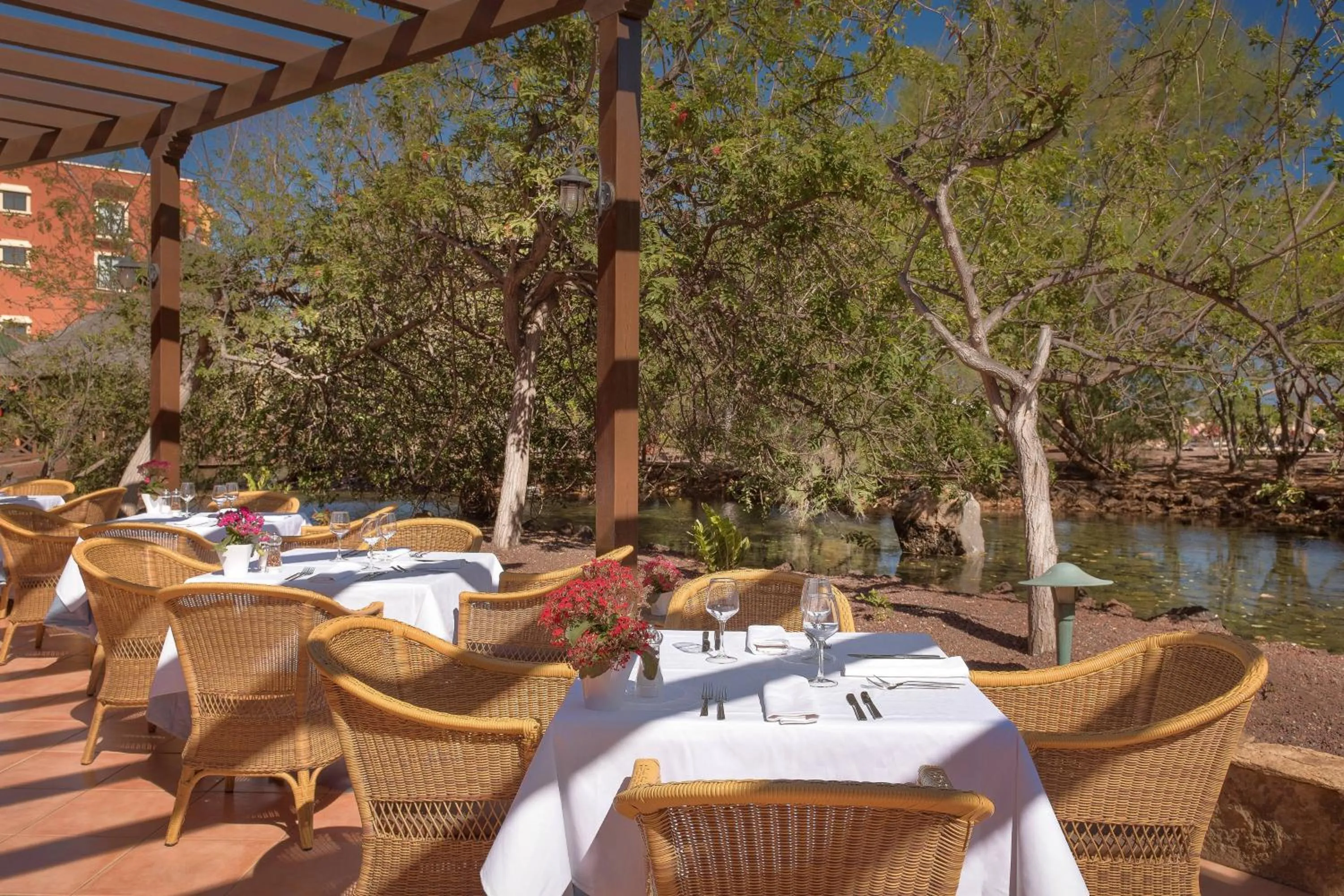 Breakfast in Sheraton Fuerteventura Golf & Spa Resort