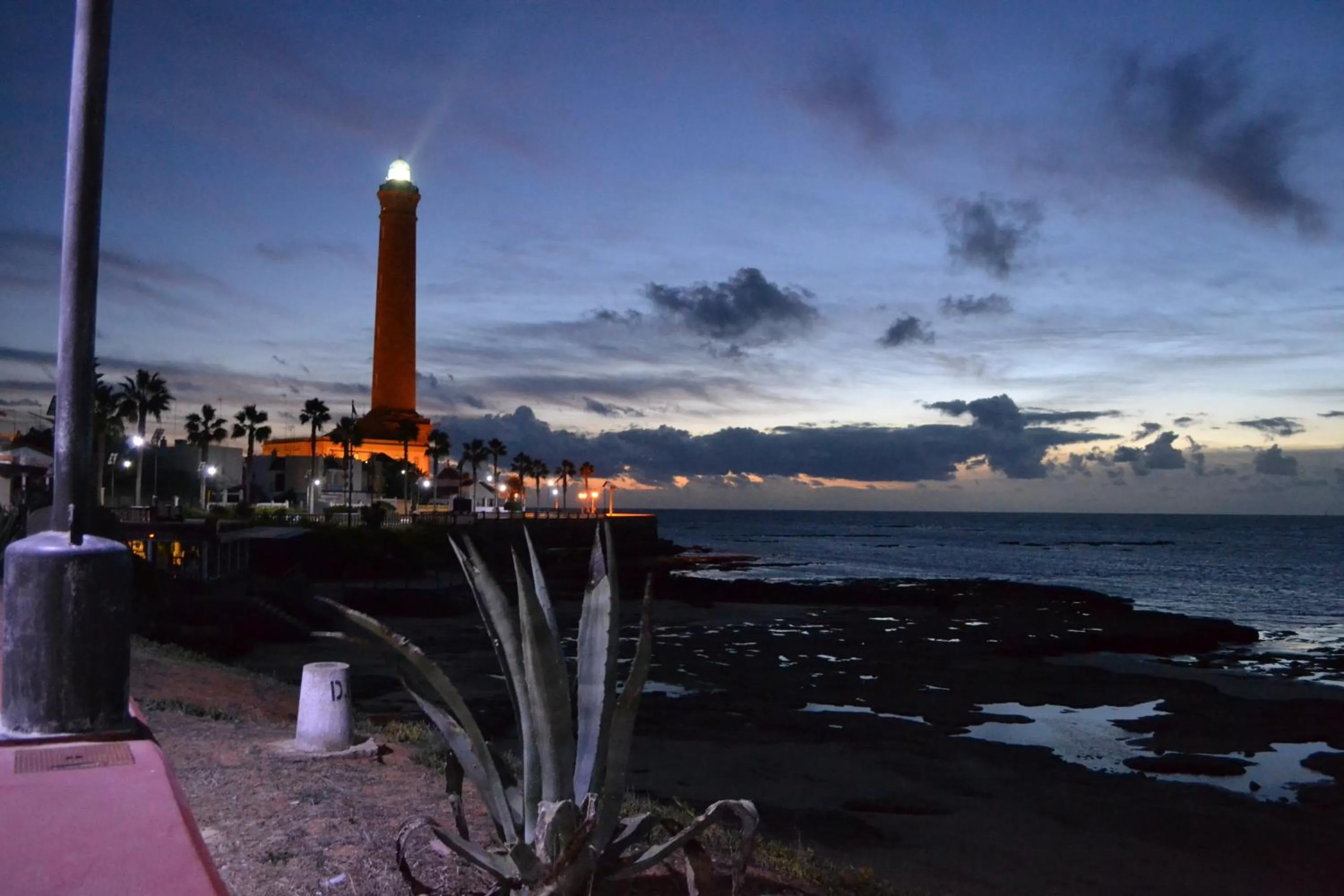 Activities in Brasilia