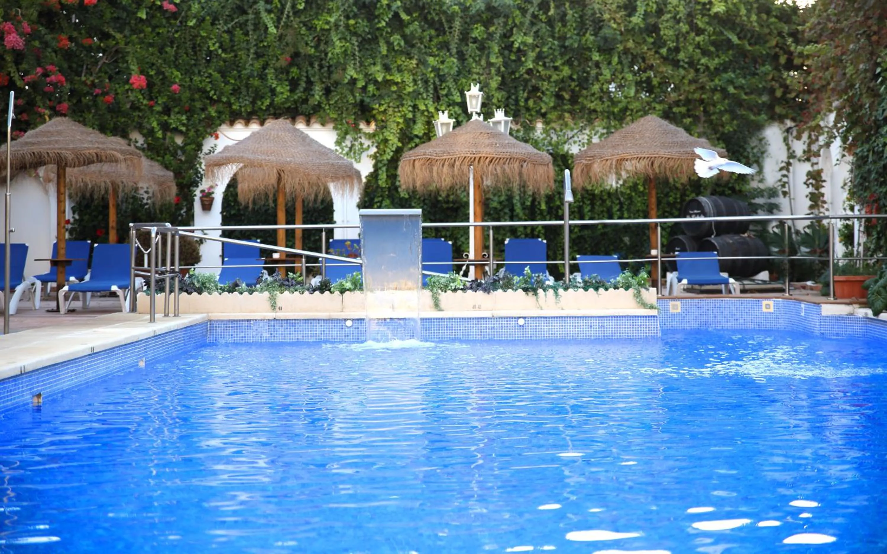 Swimming pool in Brasilia