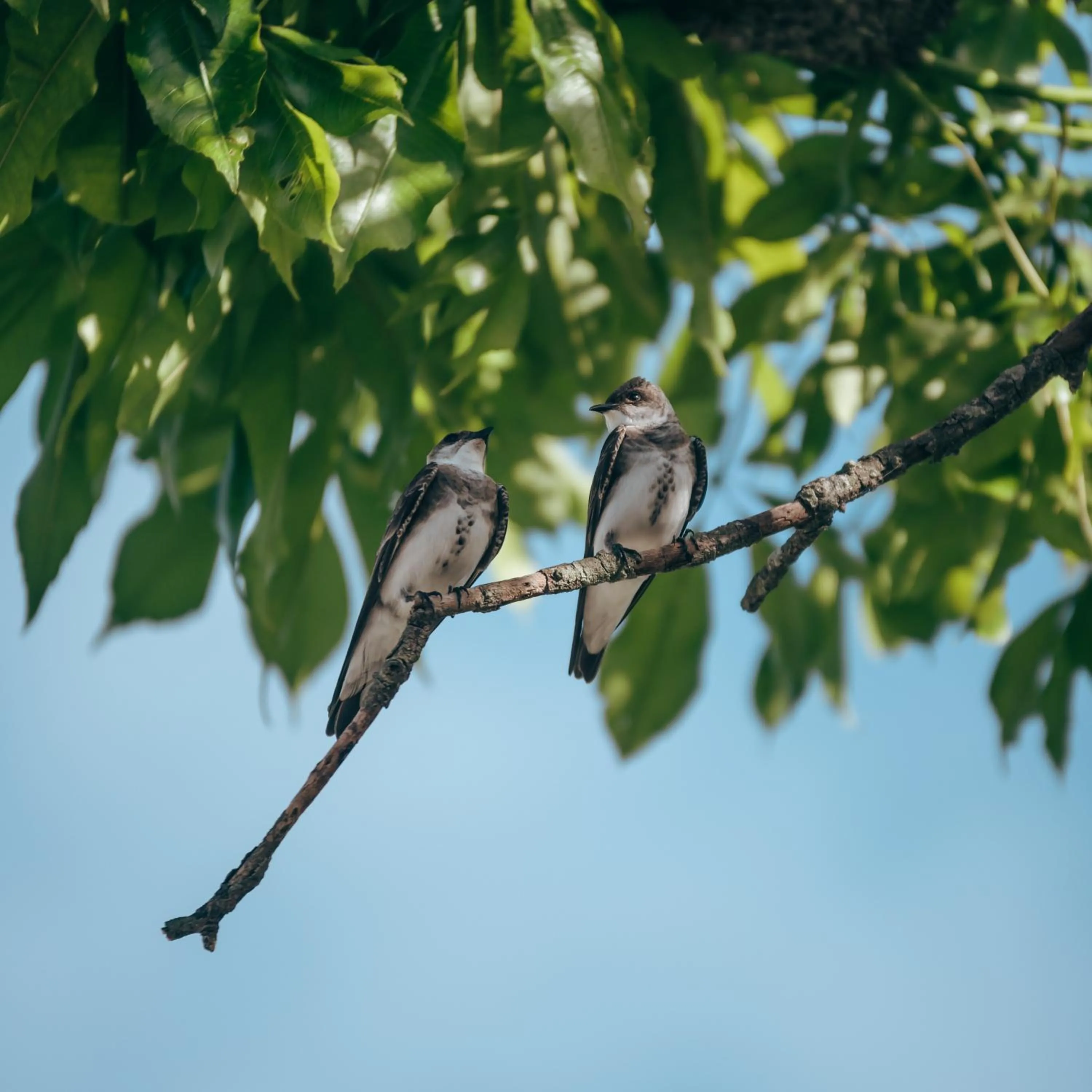 View (from property/room) in Finca del Sacramento