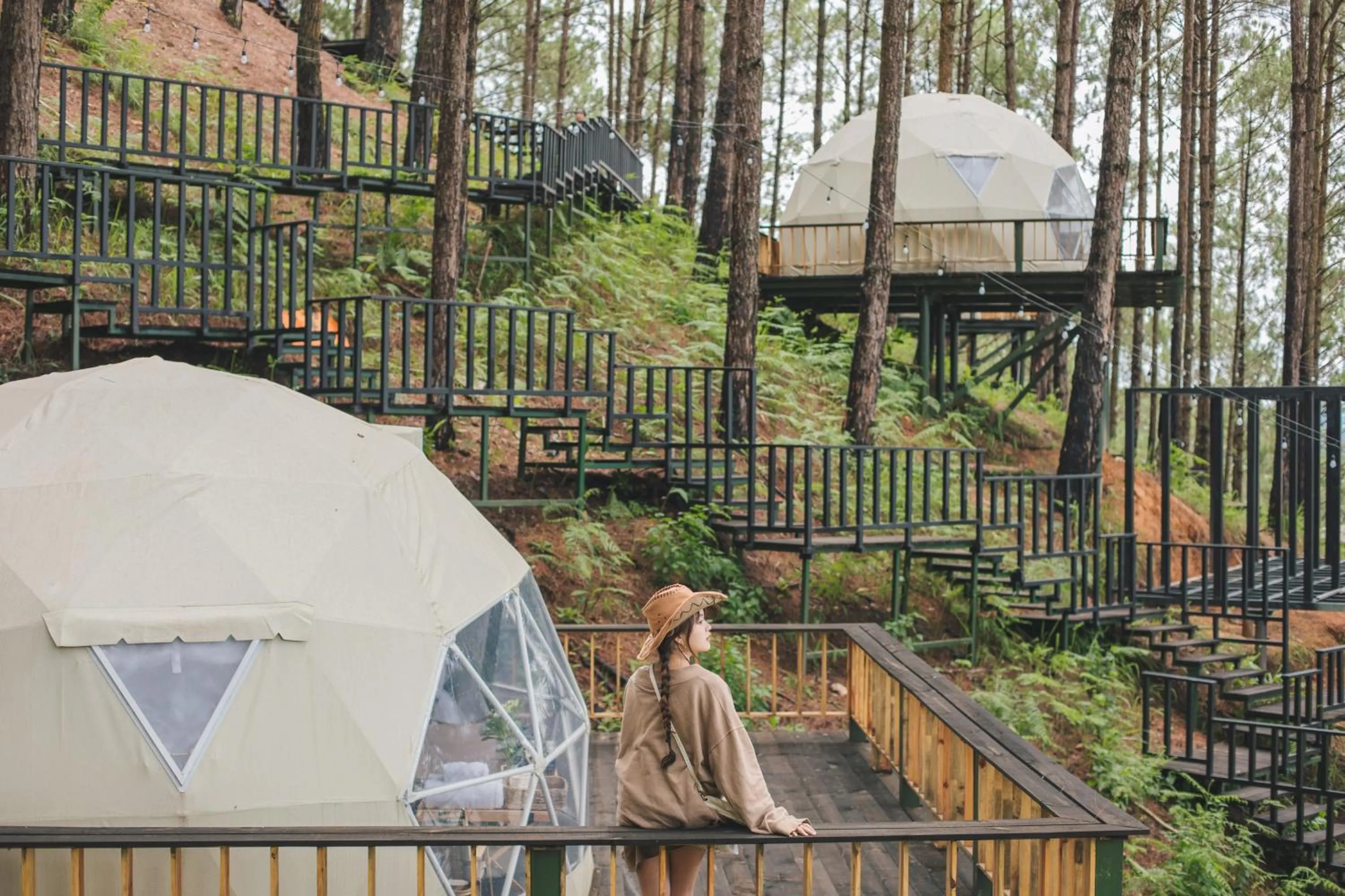 Day in Lavender Dalat Hotel and Resorts